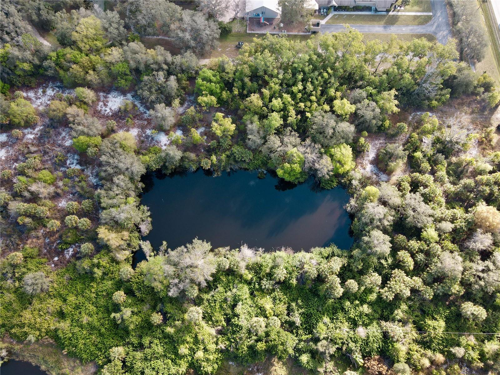 VENICE FARMS - Land