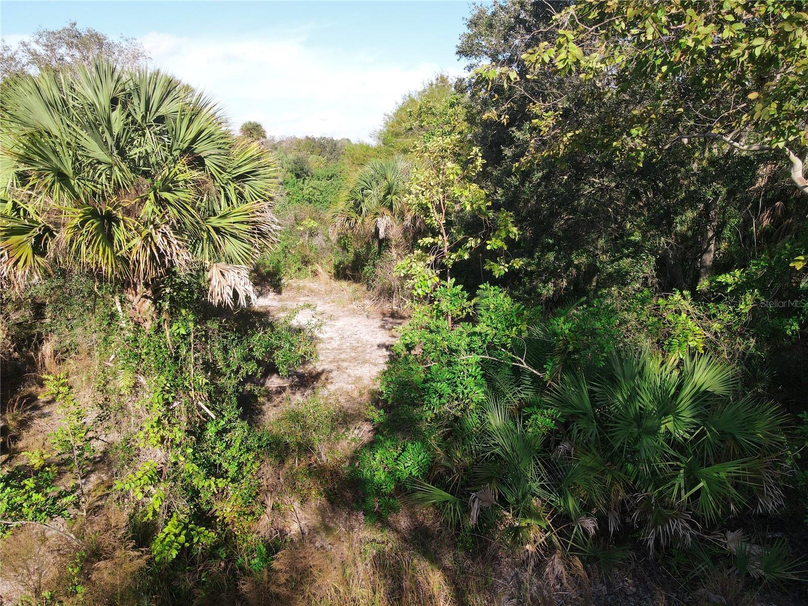 VENICE FARMS - Land