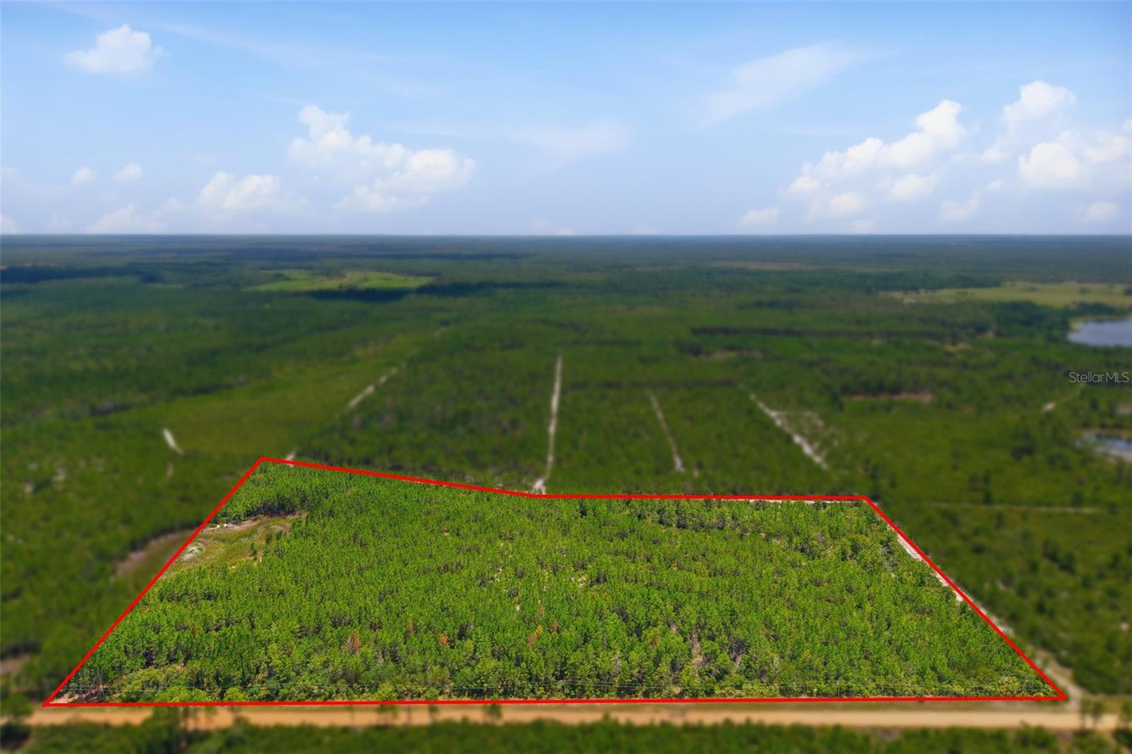 Discover an extraordinary opportunity to own nearly 26 acres of private Florida countryside, perfectly positioned along the edge of the Seminole State Forest. Surrounded by nature with very few neighboring properties in sight, this exceptional parcel offers the peace, privacy, and freedom that are becoming increasingly difficult to find.

The property is zoned Agricultural (A-1-20), allowing for a custom residence, barn, and accessory dwelling unit (ADU), making it ideal for a private estate, family compound, equestrian lifestyle, recreational retreat, or weekend getaway. The parcel may also be divided among qualifying family members, providing incredible flexibility for multigenerational living.

Along the edge of the property lies a scenic pond, which attracts the wildlife.  The remaining acreage is high and dry with no flood zone or wetlands, providing abundant buildable land for your estate. 

Outdoor enthusiasts will appreciate direct access to the surrounding wilderness, with endless opportunities for hunting, hiking, wildlife viewing, ATV riding, horseback riding, and exploring thousands of acres of protected forest right outside your doorstep.

Despite its secluded setting, convenience is never far away. Located on well-maintained Maggie Jones Road, you’re just 10 minutes to 7-Eleven, 20 minutes to Publix, and situated just beyond the desirable Royal Trails community.

With no HOA, no flood zone, abundant privacy, buildable acreage, and endless possibilities, this is a rare opportunity to create the lifestyle you’ve always envisioned. Whether you’re dreaming of building your forever home, creating a family retreat, or investing in a one-of-a-kind piece of Old Florida, this remarkable property is ready to bring your vision to life.
