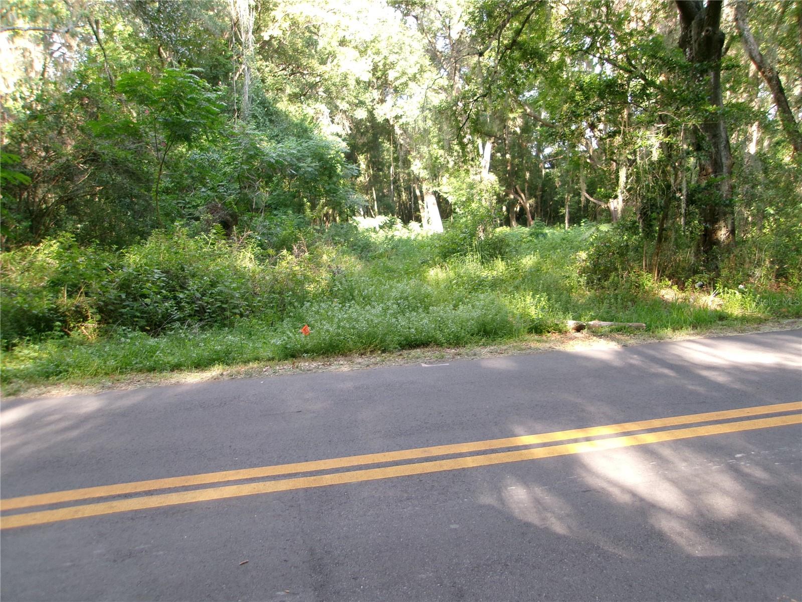 Prime opportunity in the City of Wildwood. This 1.6 acre wooded parcel offers excellent development potential with zoning allowing up to 4 units per acre. Ideal for builders, investors or those looking to create a residential project in a growing area. Conveniently located near shopping, dining, medical facilities, schools and major highways while still offering a natural wooded setting. Buyers should verify zoning, permitted uses, density, utility availability and all development requirements with the City of Wildwood.