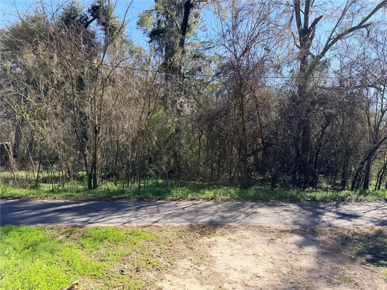 ALACHUA LEROYS ADD - Land