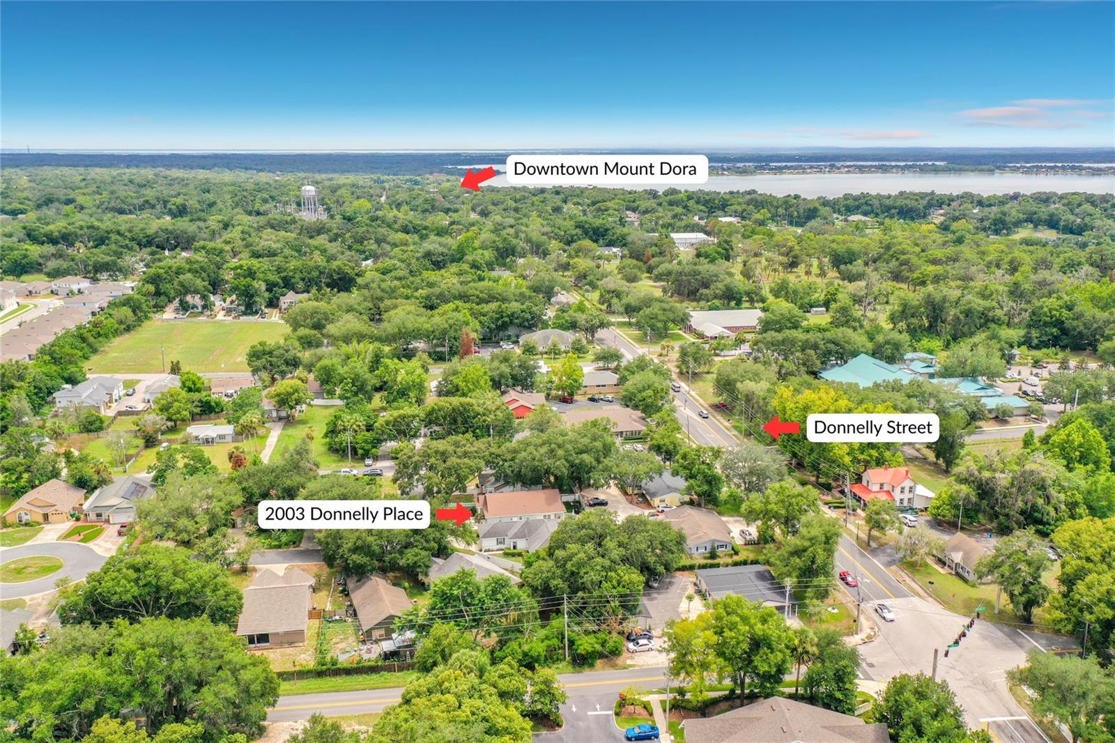 MOUNT DORA DONNELLY VILLAGE - Residential