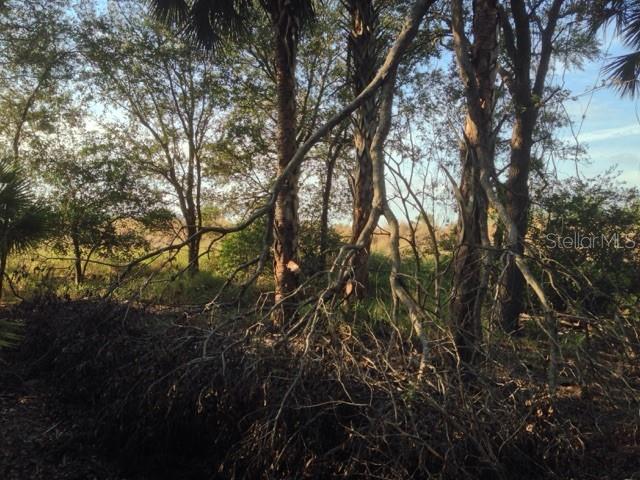 ACREAGE & UNREC - Land
