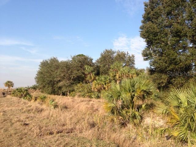 ACREAGE & UNREC - Land