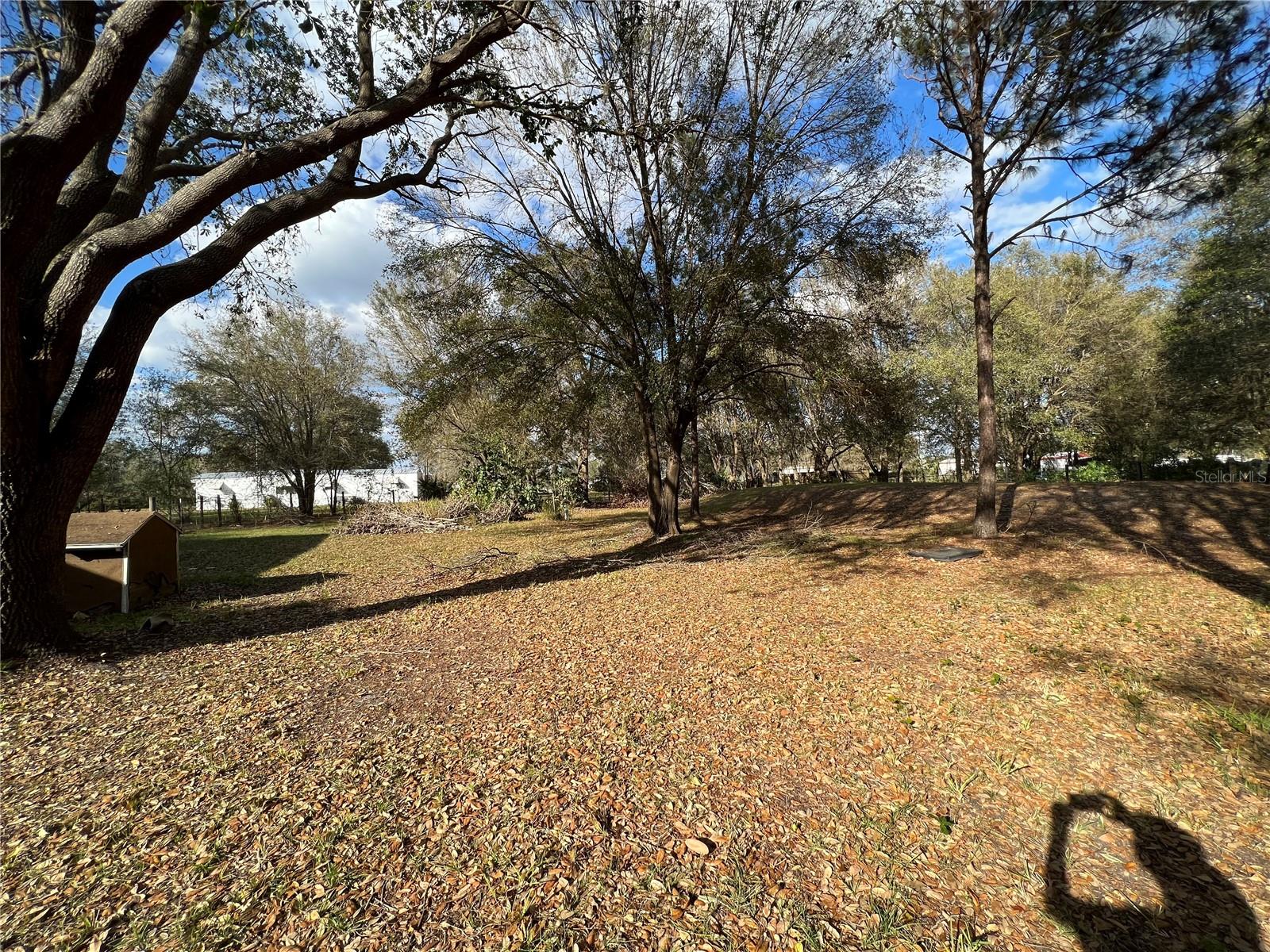 LAKE WALES ESTATES - Residential