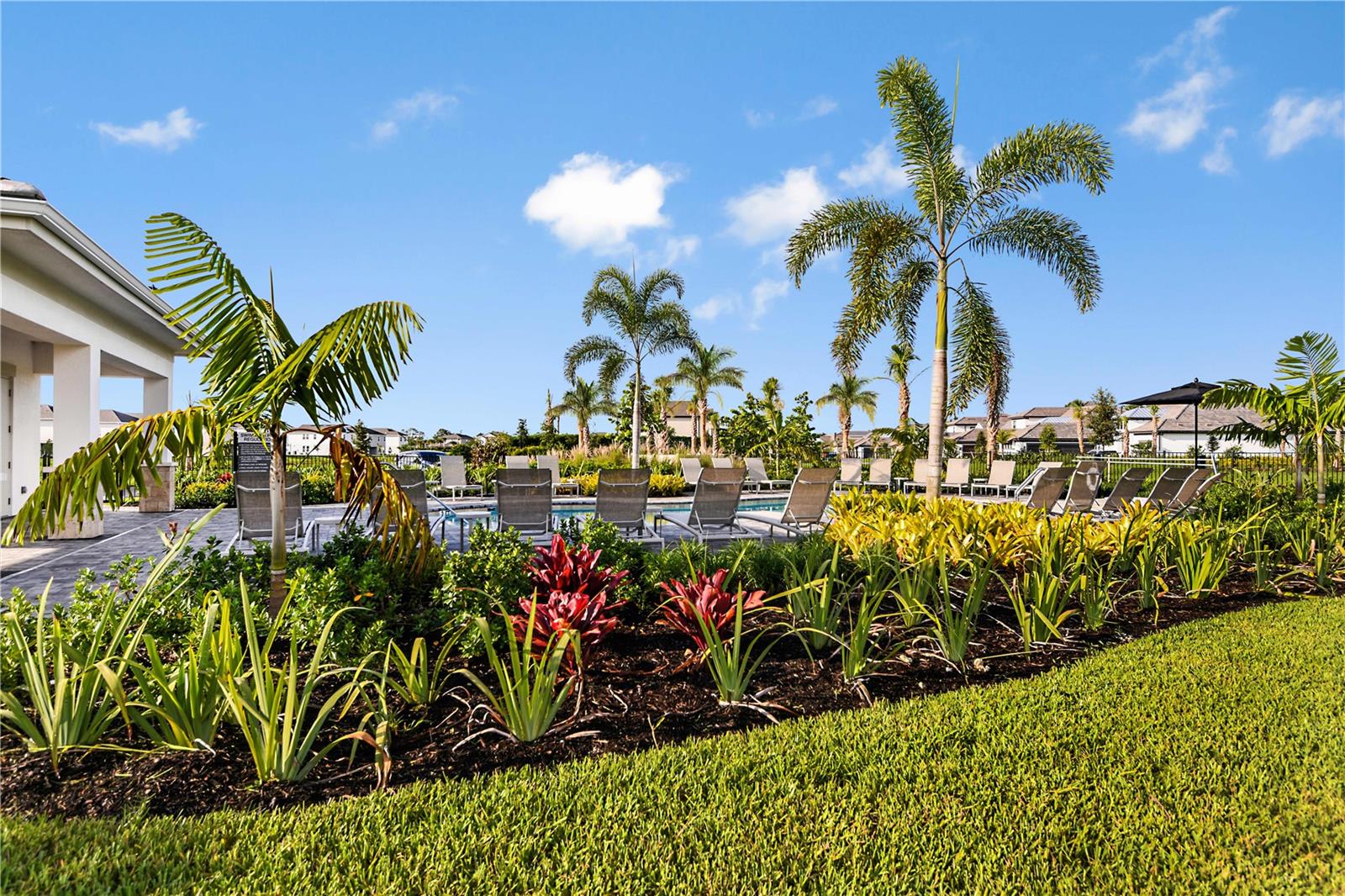 CASSIA AT SKYE RANCH - Residential