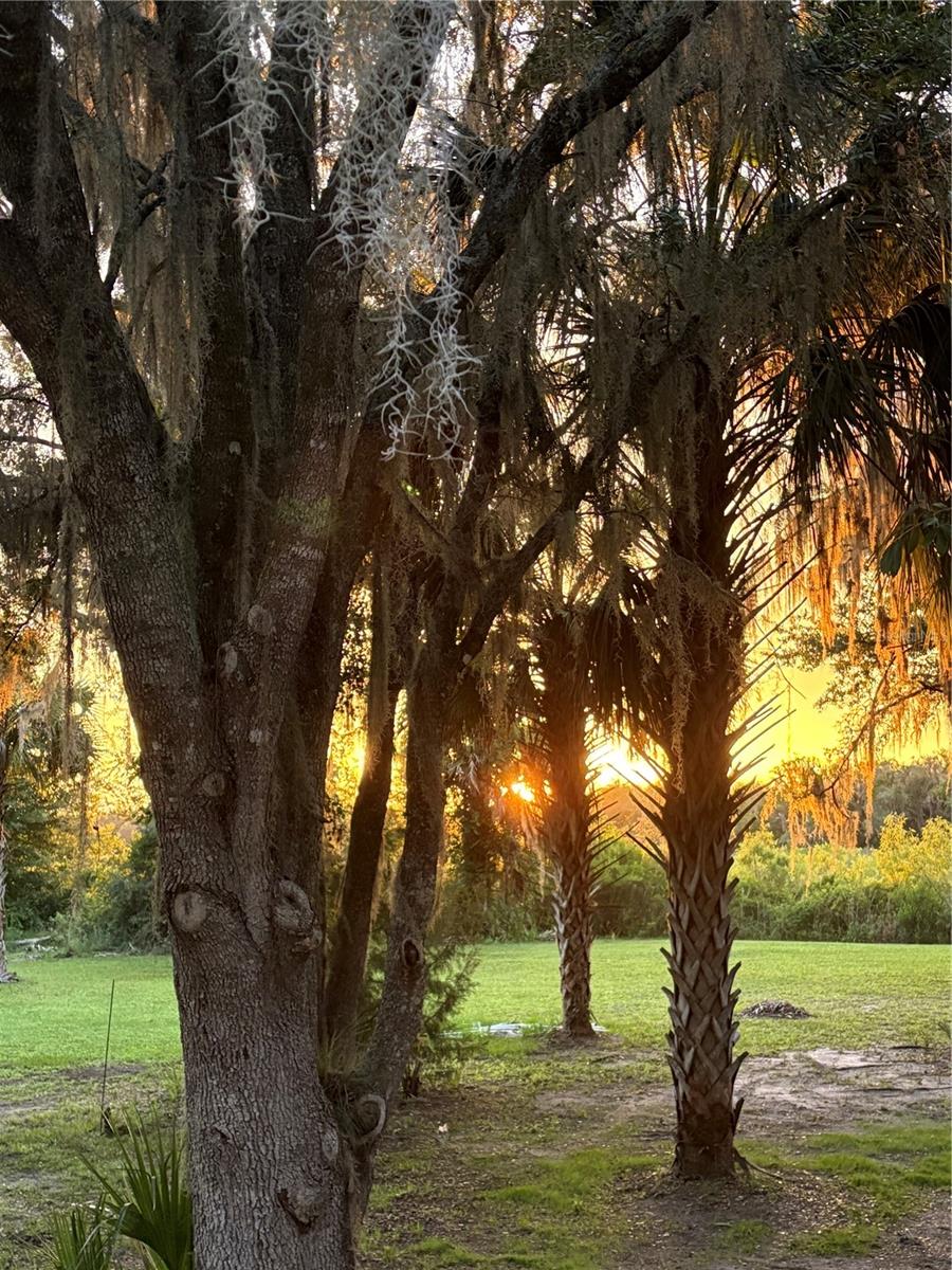 MEADOW ACRES - Residential