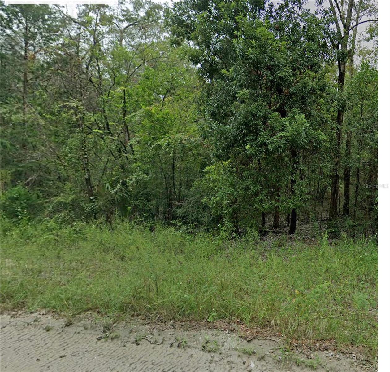 Here it is! A nice buildable Corner lot in an up and coming area just outside of downtown Williston. You will be close to shopping recreation Gardens and nice parks. Zoning allows for site built or manufactured homes. Live with nature enjoy true Florida living. Bring an offer today.