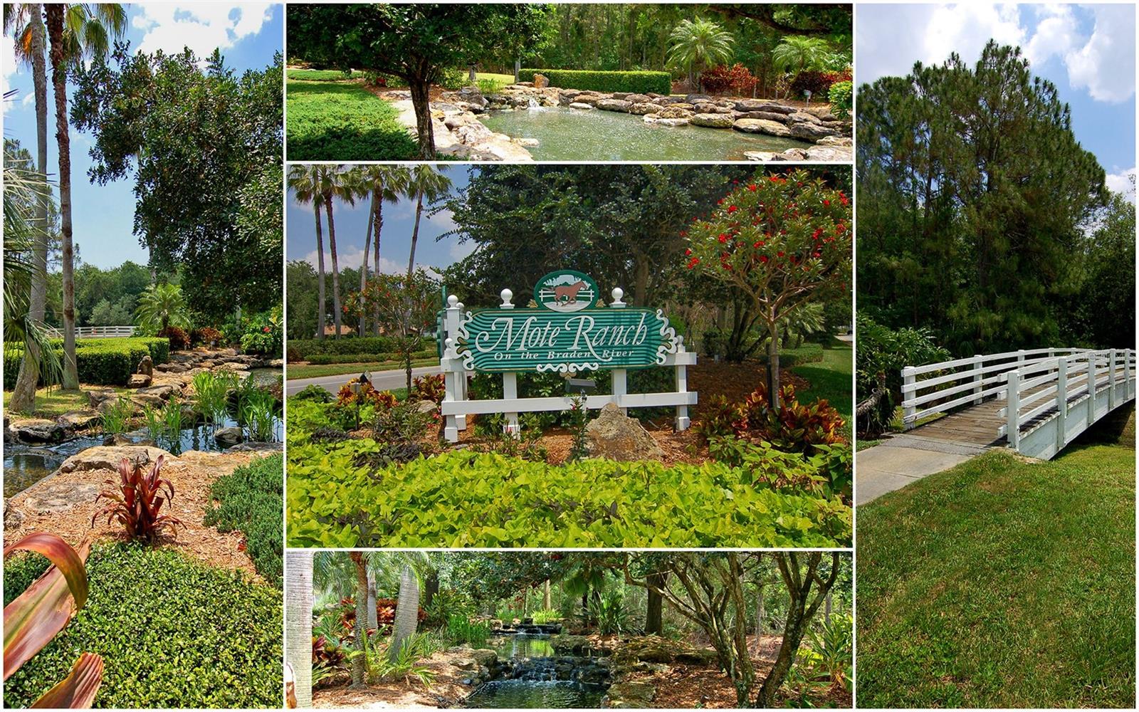 MOTE RANCH PH V - Residential
