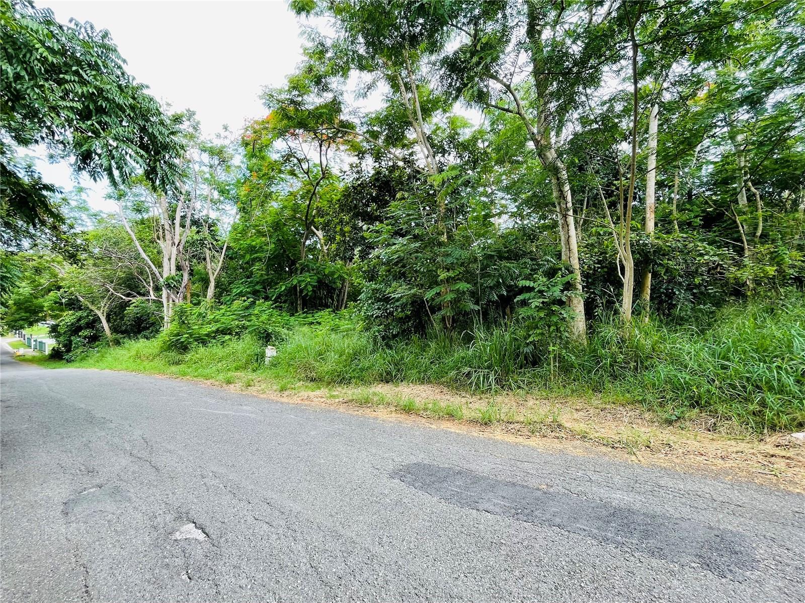 Excellent opportunity to acquire land in an exclusive and quiet area. This land offers the serenity of the countryside with the advantage of being close to the urban areas of Cabo Rojo and Mayagüez. Enjoy all the necessary amenities and services.