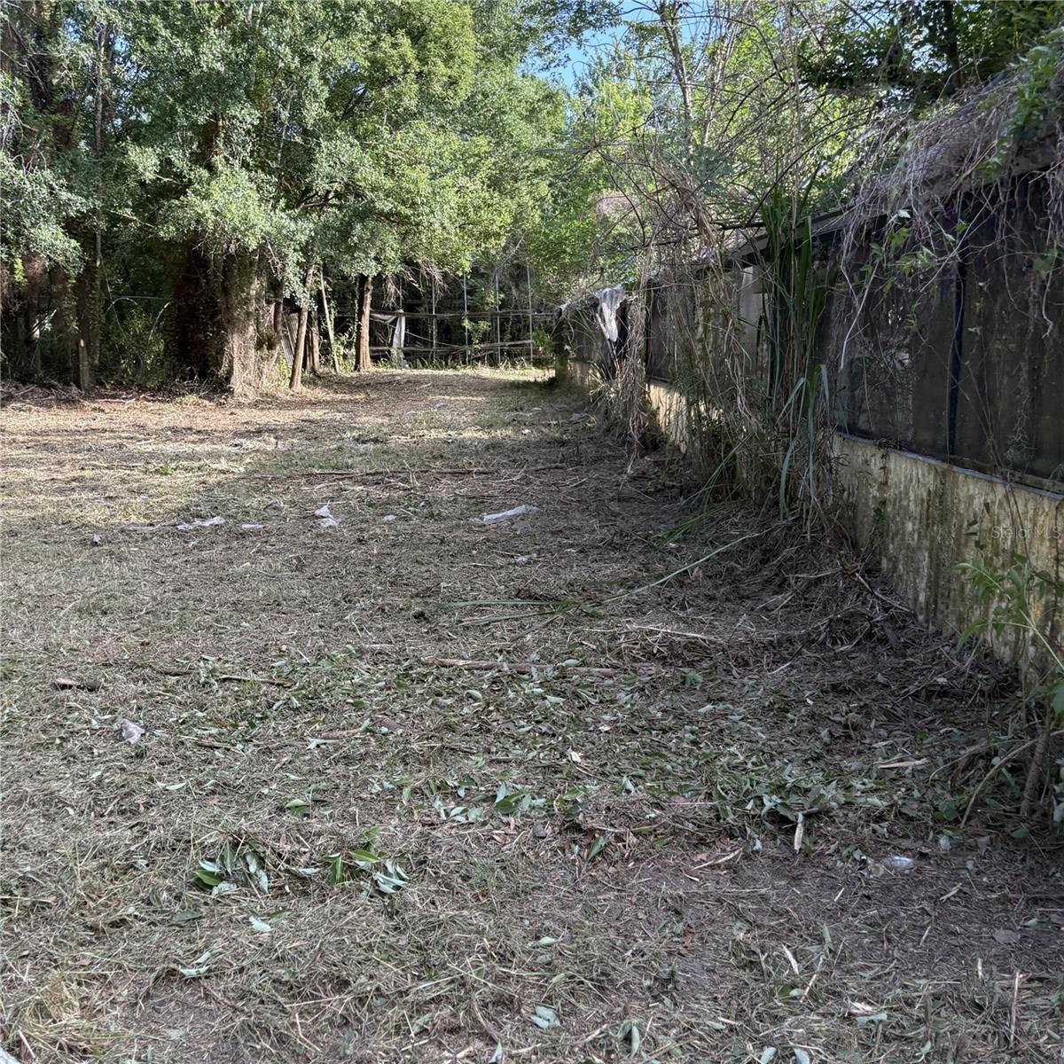 TRASKS ADD TO PLANT CITY - Land