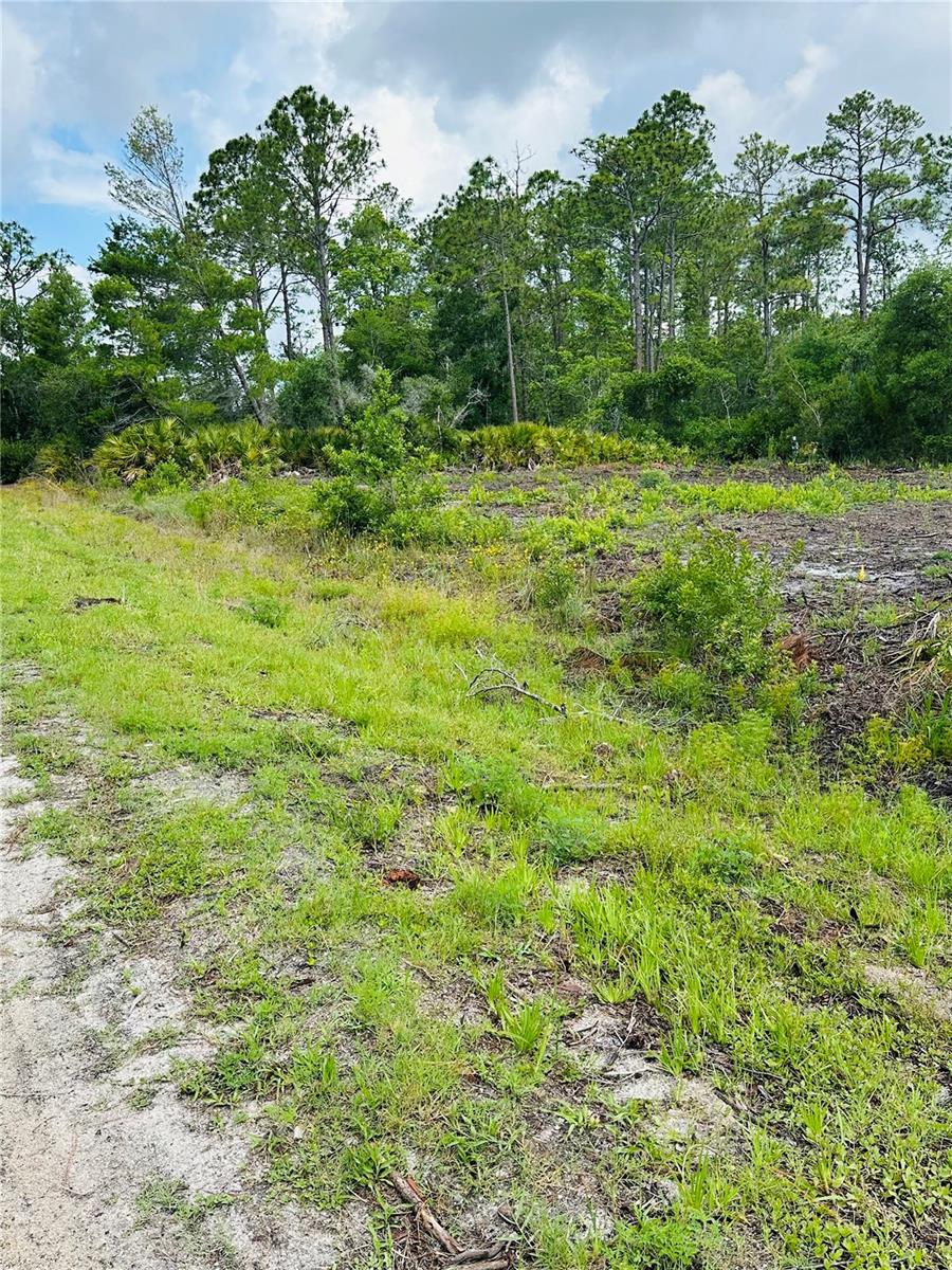 1702 - DAYTONA PARK EST SEC C - Land