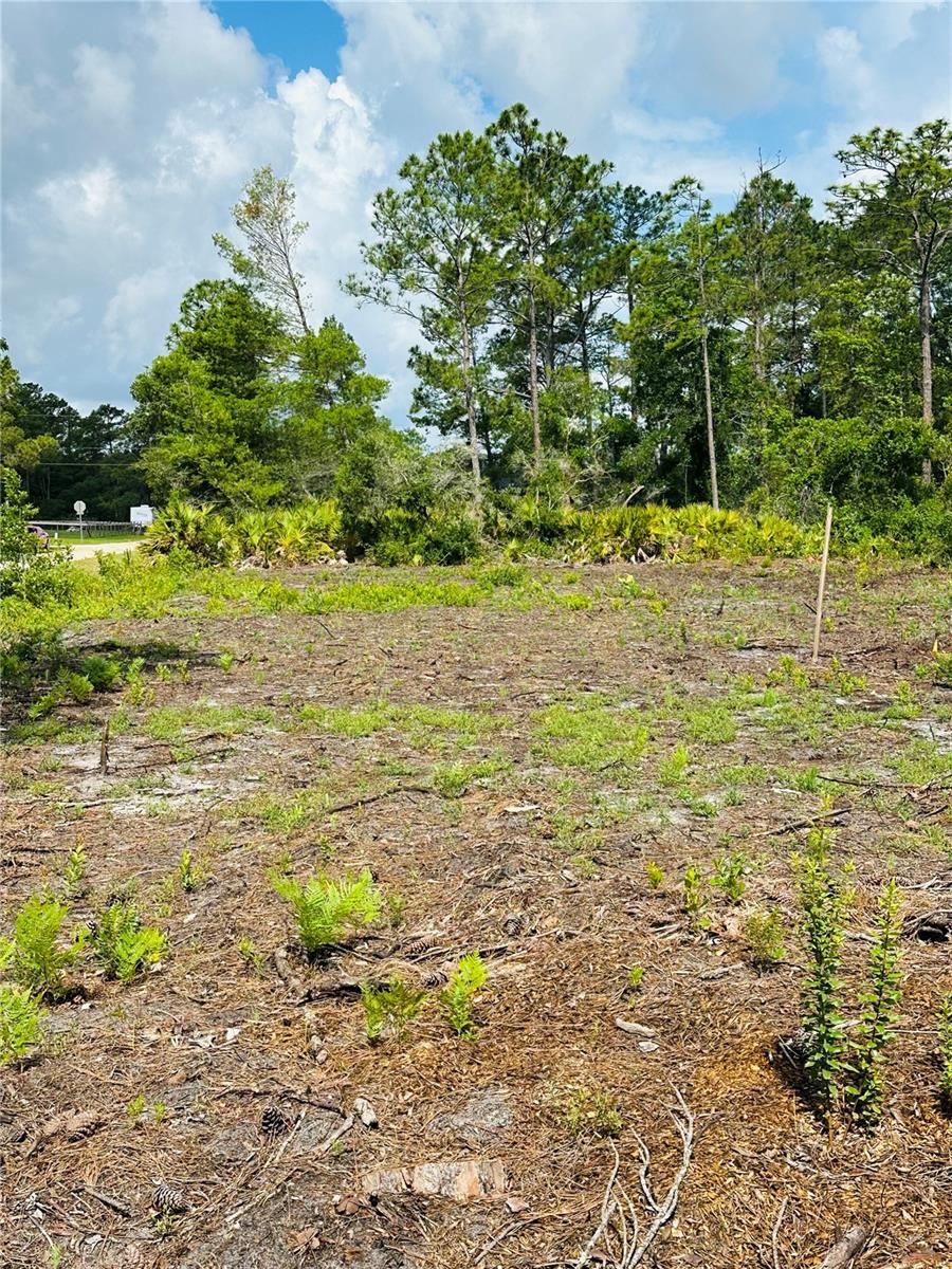 1702 - DAYTONA PARK EST SEC C - Land