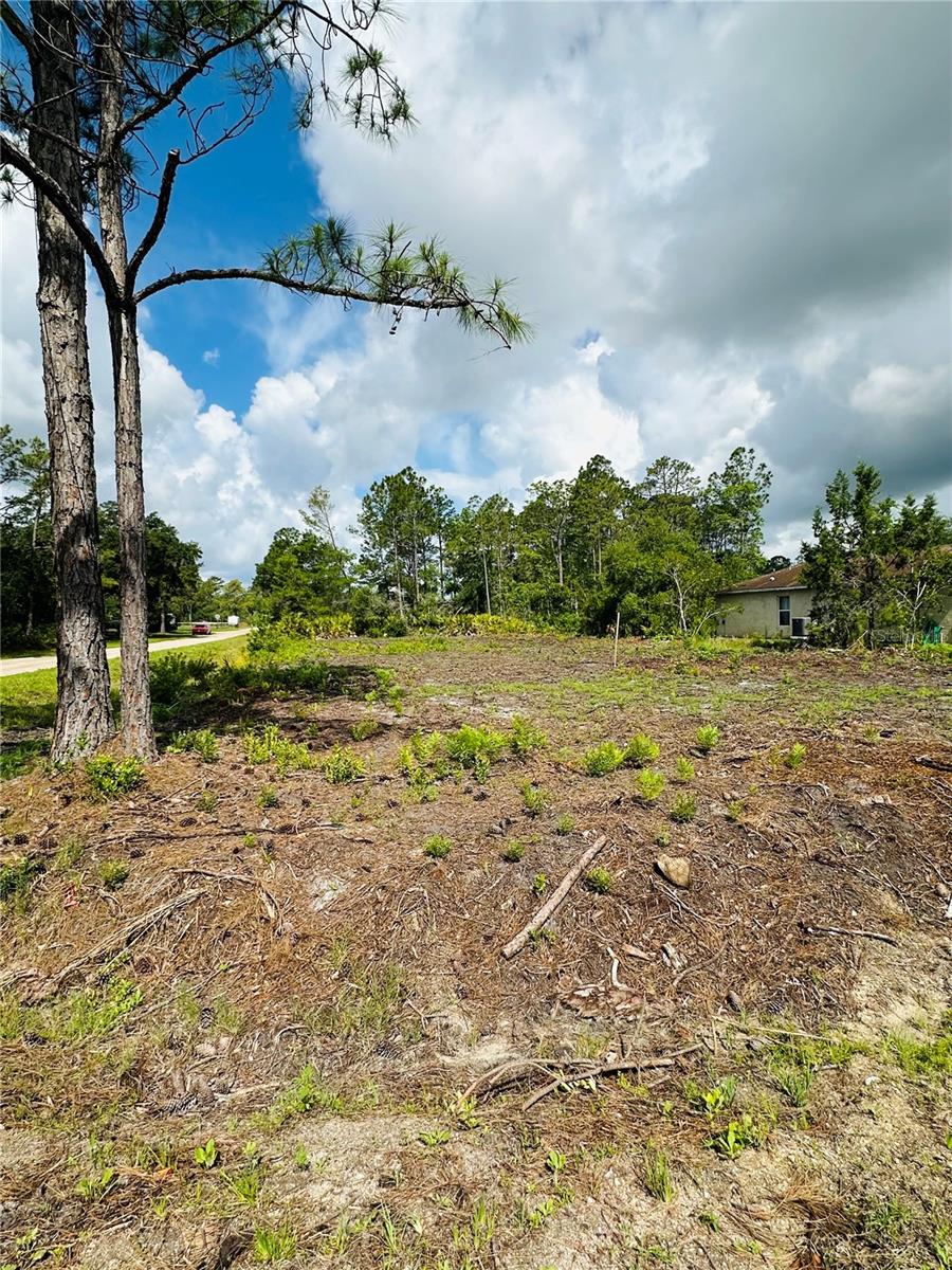 1702 - DAYTONA PARK EST SEC C - Land