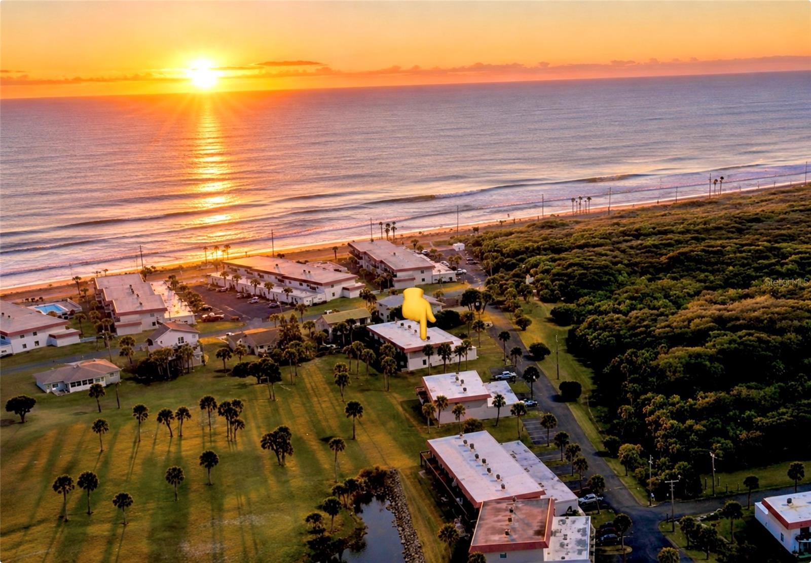 Experience the Flagler Beach lifestyle in this truly unique townhome—one of only a select few in Ocean Palm Villas that is *NOT* located in a Flood Zone!

Offering approximately 240 Additional Square Feet of Living Space this Expanded Floor Plan features a versatile First-Floor Flex Room/3rd Bedroom, making it ideal for In-Laws, Teenagers or Guests.

Perfectly positioned in one of the community's most desirable locations, you'll be Just Steps from Flagler Beach's beautiful, uncrowded shoreline. Adjacent to North Peninsula State Park, this property offers an exceptional combination of privacy, natural beauty, and coastal living.

Lovingly maintained by it's owners and used as a weekend getaway, this move-in-ready home has seen numerous updates, including:

• Brand New A/C (2026)
• Plank tile flooring on first floor
• Hurricane-rated sliding glass door, entry door, and storm/screen door
• Interior paint and plush carpeting upstairs
• Updated bathroom vanities

The open-concept kitchen has been enhanced with custom cabinetry and upgraded lighting, creating a bright and inviting gathering space.

Community improvements include new siding, resurfaced swimming pool, and newly paved roads. Additional highlights include a newer roof  and a spacious composite deck off the primary suite, offering expansive views & a glimpse of the ocean.  Adjacent to the building are 6 additional guest parking spaces.

Association fees include: Cable & Internet,Water & Sewer & Trash, Community Pool, Building & Grounds Maintenance, Pest Control &Insurance.  Golf Cart & Pet Friendly Community!