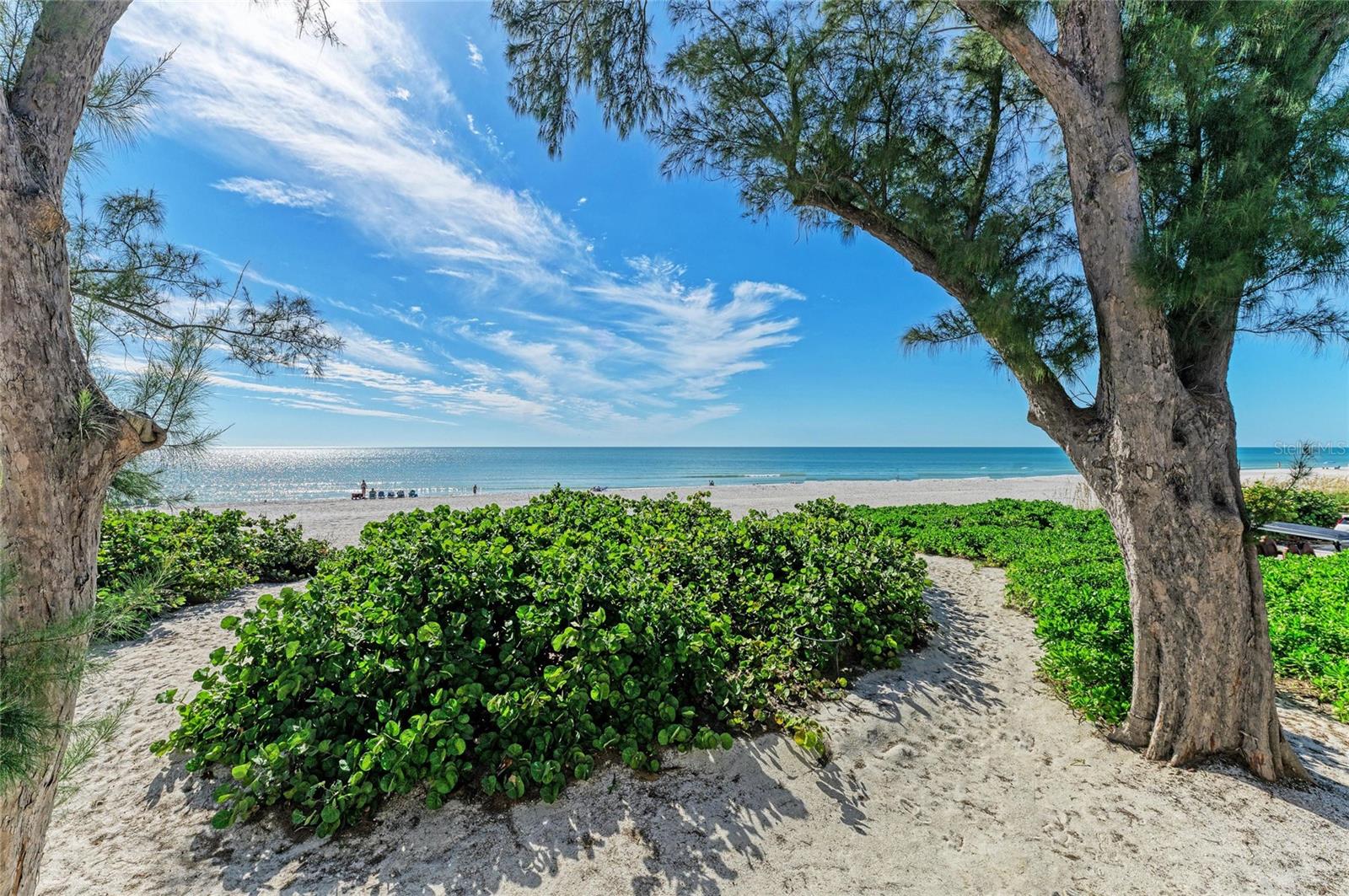 PRINCESS MARTHA APTS - Residential