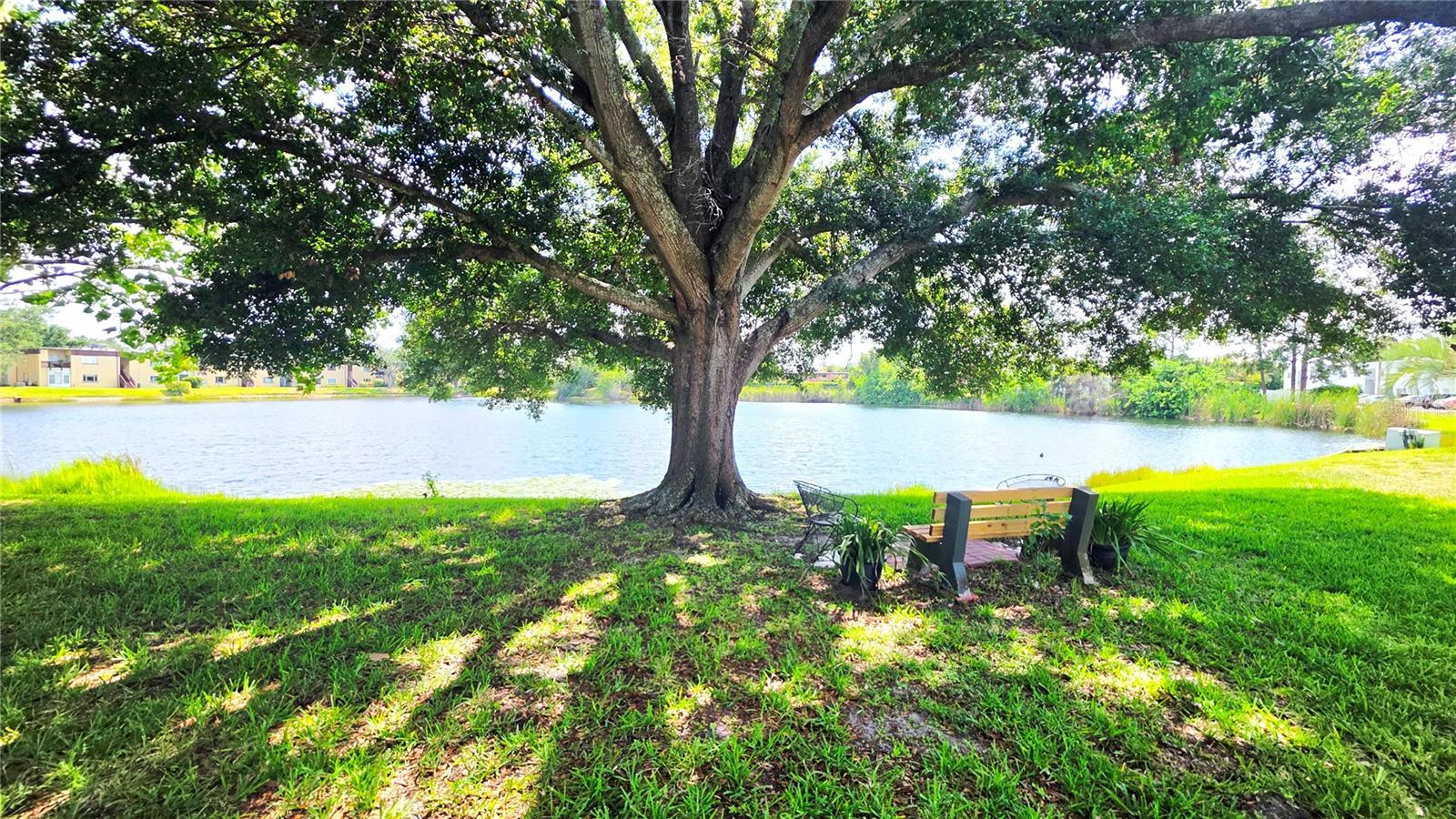 ST ANDREWS COVE CONDO - Residential