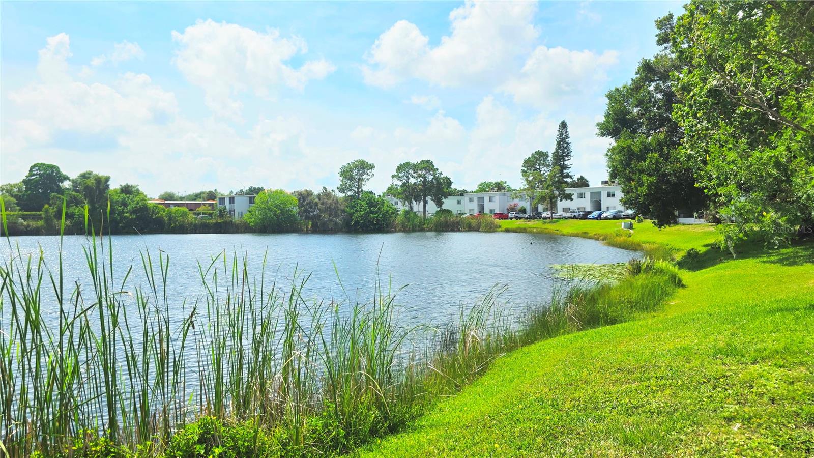 ST ANDREWS COVE CONDO - Residential