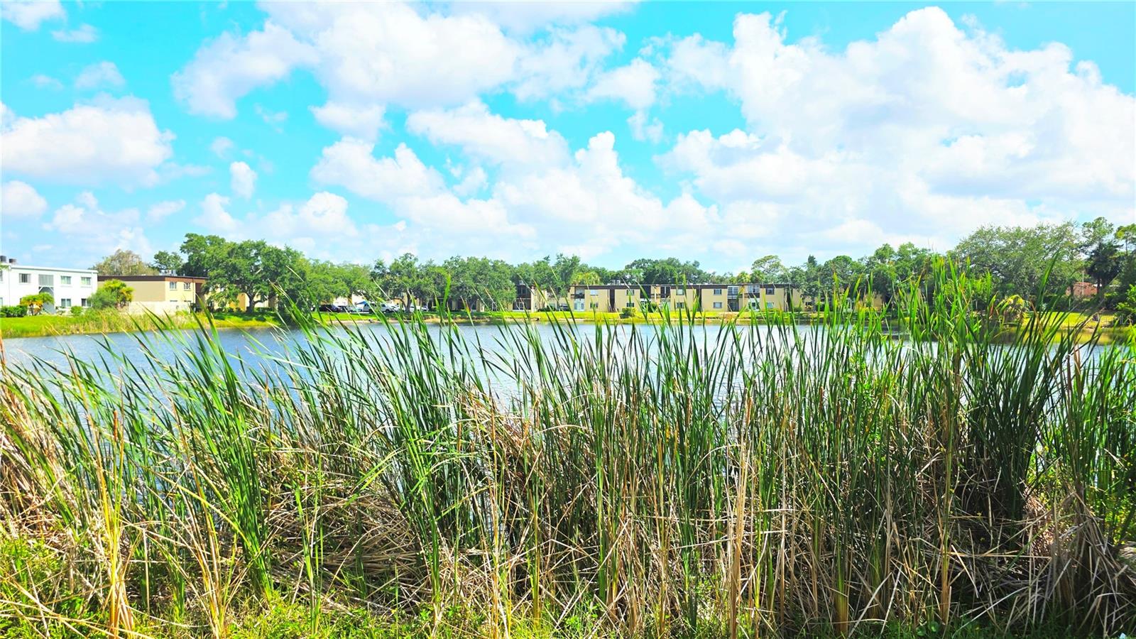 ST ANDREWS COVE CONDO - Residential