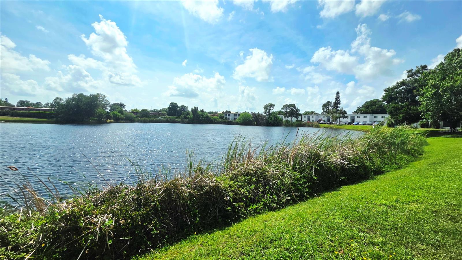 ST ANDREWS COVE CONDO - Residential