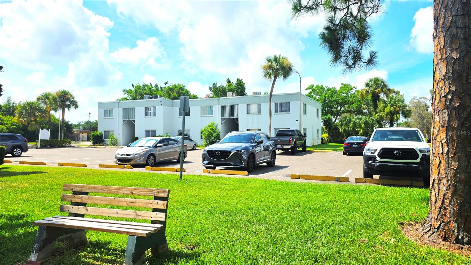 Amazing opportunity in Clearwater Florida, less than 6 miles from Clearwater Beach! This condominium has been completely remodeled, by the owner for the owner. It has newer impact windows throughout and impact sliding doors. The kitchen has been completely redone with white cabinets and beautiful granite countertops and stainless steel appliances. There is no carpet in the unit, just gorgeous wood floors throughout the living areas and tiles in the wet areas and bedrooms. The kitchen is completely open to the living room and to the dining room while the large covered balcony directly in view from all the living area, has been screened in and fully retiled with beautiful new tiles throughout. The bathroom has been also completely redone, top to bottom, with new shower tiles, new vanity lights and floors. As a bonus, the master bedroom walk-in closet is truly over-sized and the balcony has a convenient storage room, while there are also other storage closets inside the unit. This complex sits directly on a beautiful lake and you can walk around its settings on your way to the large common pool, and enjoy the gorgeous views. Ducks and birds will welcome you! Check the pictures! St Andrew Cove II is conveniently located with a very easy access to all Clearwater main throughfares, in fact you will be able to easily reach any large grocery store, in Dunedin, Clearwater, Largo, while Downtown Clearwater is only 2.4 miles away. Tampa Airport is 16 miles away!