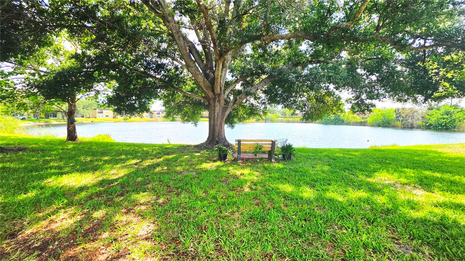 ST ANDREWS COVE CONDO - Residential