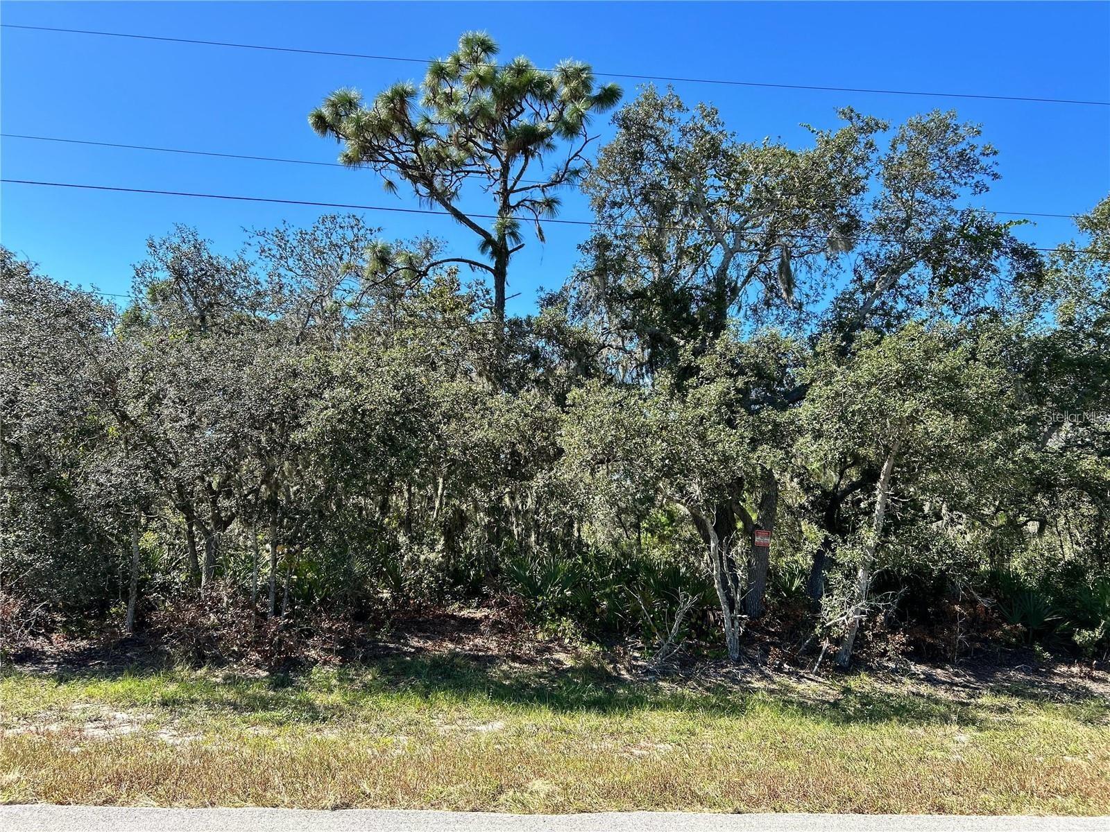 LAKE CALOOSA LANDING PH 02 - Land
