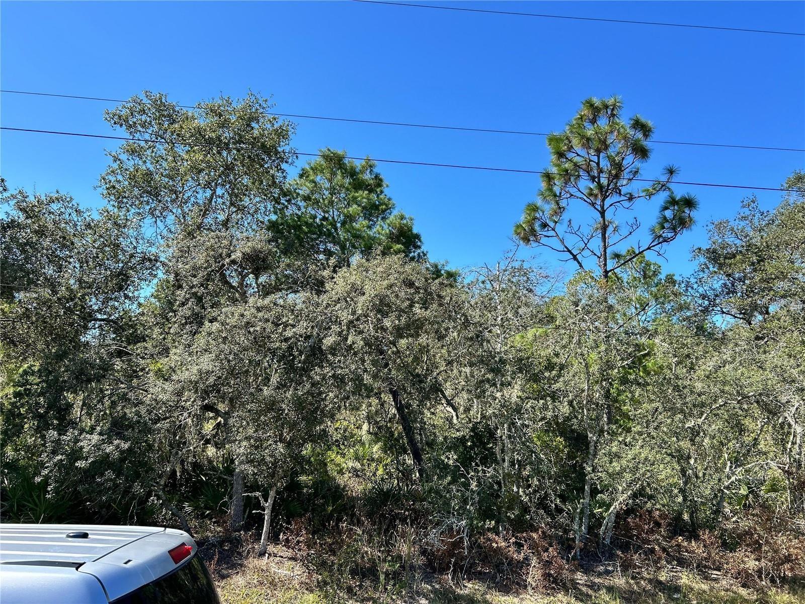LAKE CALOOSA LANDING PH 02 - Land