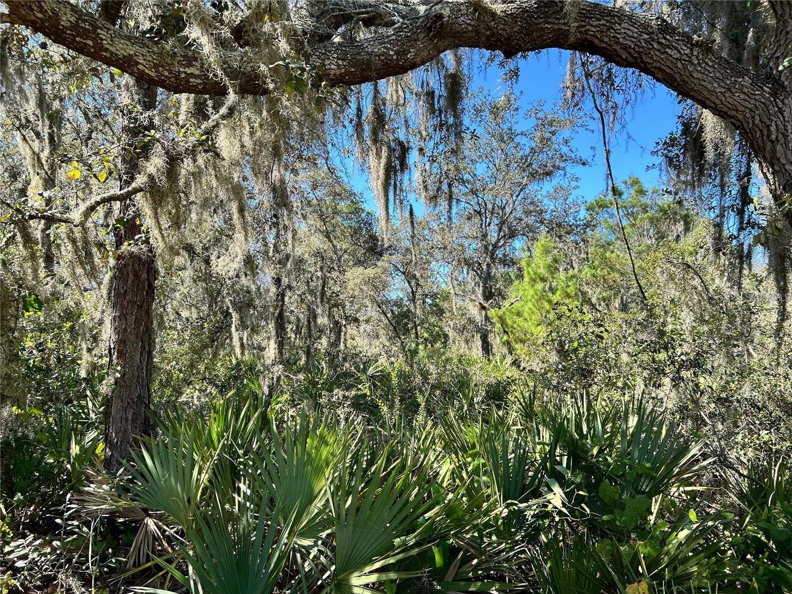 LAKE CALOOSA LANDING PH 02 - Land