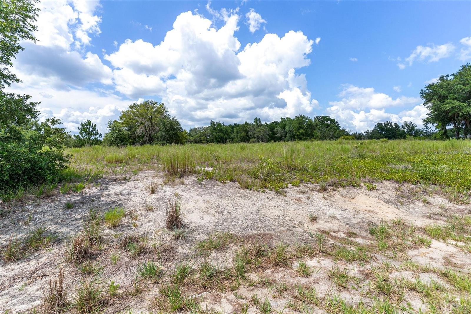 Build your dream home on this beautiful almost 1 acre lot located in Rainbow Lakes Estates! This ready to build property offers the freedom to bring your own builder and create the home you've always envisioned. With NO HOA, you'll enjoy the flexibility with your custom home, outdoor living area and more! Located just minutes to the beautiful Rainbow Springs State Park you can enjoy the conveniences to all the local amenities. Whether you are ready to build no or invest for the future, this is an incredible opportunity to own a spacious homesite with endless possibilities. Don't miss your chance to make it yours!