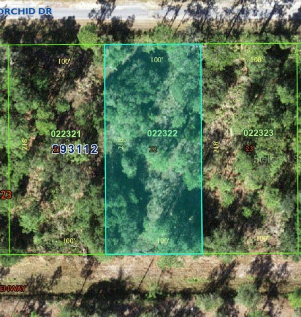 Build your dream home or invest in one of Central Florida's established recreational communities. This 0.50-acre residential homesite offers privacy, natural surroundings, and resort-style amenities.

The community is centered around Lake Walk-in-Water, also known as Lake Weohyakapka, a 7,500-acre freshwater lake recognized throughout Florida for bass fishing, boating, kayaking, and waterfront recreation. Residents enjoy access to a private marina, boat ramp, freshwater fishing pier, lakefront pavilion, picnic areas, and natural scenery.

Community amenities include an 18-hole golf course, clubhouse, fitness center, tennis and pickleball courts, basketball courts, library, post office, café, and year-round activities. Wildlife is abundant, creating a peaceful environment with deer, cranes, turtles, wild turkeys, and native birds.

This half-acre lot offers flexibility for a custom home, seasonal retreat, or long-term land investment. Buyers should verify building requirements, utilities, permitting, zoning, HOA requirements, and applicable fees.