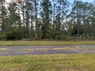 Each parcel in Indian Lake Estates has unique characteristics and deserves its own description. This ACRE property is all about nature. Two adjacent parcels are for sale. There are trees everywhere so privacy can be planned. Clear only a building site and keep the trees for shade, privacy, and preservation. Or build two home with trees between them. A private septic tank is required in this community, but this lot is situated within the boundaries of the community water district and builders can request a community connection instead of, or in addition to, a private well. Electricity is available from the easement in the backyard. The road is old asphalt. Your future home would be located a few blocks from the public golf course and the community clubhouse, which offers tennis and pickleball courts, two playgrounds, a driving range, a putting green, a game room, and a restaurant open 7 days a week. Residents have access to the fishing pier, the waterfront pavilion, the marina (fees apply), and the community boat access, just a few miles away in the most Western part of the community. The community fronts Lake Weohyakapka, the largest lake in Polk County. Take a drive out and experience the perfect blend of activity and privacy in Indian Lake Estates, a deed restricted community.