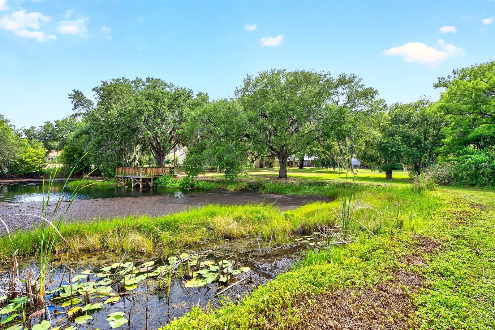 ACREAGE & UNREC - Residential