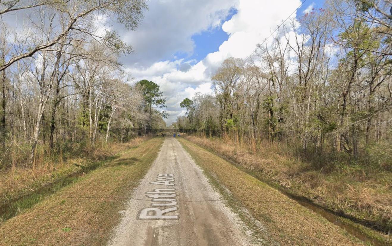 2.27 Acres of Possibility – Your Dream Starts Here!
Discover the charm of country living at 10535 Ruth Avenue, Hastings, FL. This beautiful 2.27-acre vacant lot offers the perfect opportunity to build your dream home in a peaceful, rural setting—just far enough to enjoy the quiet, yet close enough to stay connected.
Why You’ll Love It:
Generous Lot Size: Approx. 330 ft frontage x 299.70 ft depth—plenty of space for your custom home, a swimming pool, garden, and even livestock!
Freedom to Create: Zoned for residential with agricultural potential—ideal for a homestead or hobby farm.
Tranquil Location: Tucked away in a quiet countryside neighborhood, offering privacy and natural beauty.
Endless Potential: Whether you're dreaming of a cozy cottage or a sprawling estate, this land is your blank canvas.
Don’t miss this chance to own a slice of Florida’s countryside and build the lifestyle you’ve always wanted. Bring your vision—and make it a reality!
10535 Ruth Ave, Hastings, FL 32145
 Contact us today to schedule a visit or learn more!