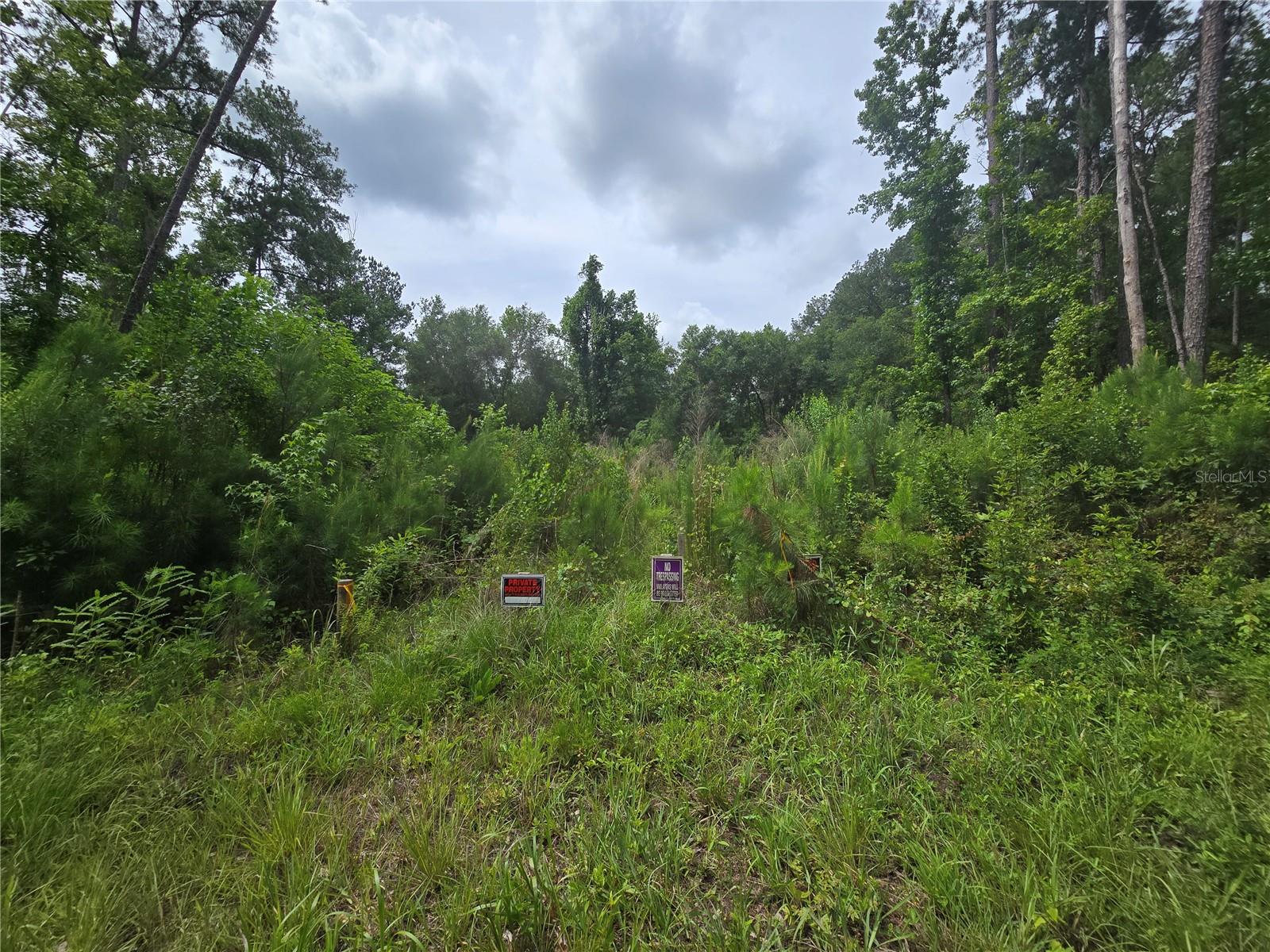 .23 ac no flood zone zoned R1 close to Belleview, The villages, Ocala and beyond. 15 min to Lake Weir where you can boat, jet ski, or kayak. Additional parcel available 2 lots down, 320 SEQUOIA DR. Looking for land to build on? We also have a builder available to get a property done for you, call us with your plans!