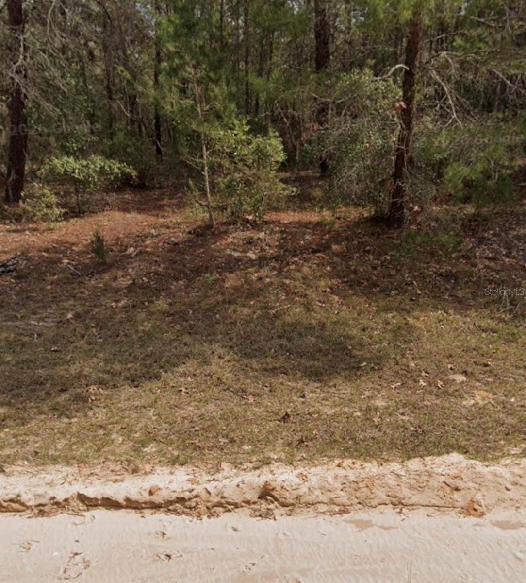INTERLACHEN LAKES ESTATES - Land