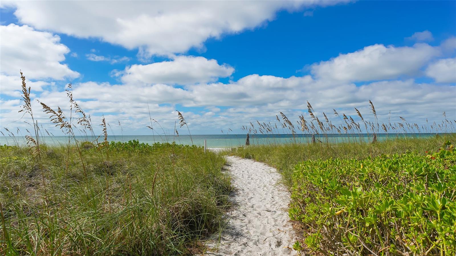 WINDWARD BAY AMD - Residential
