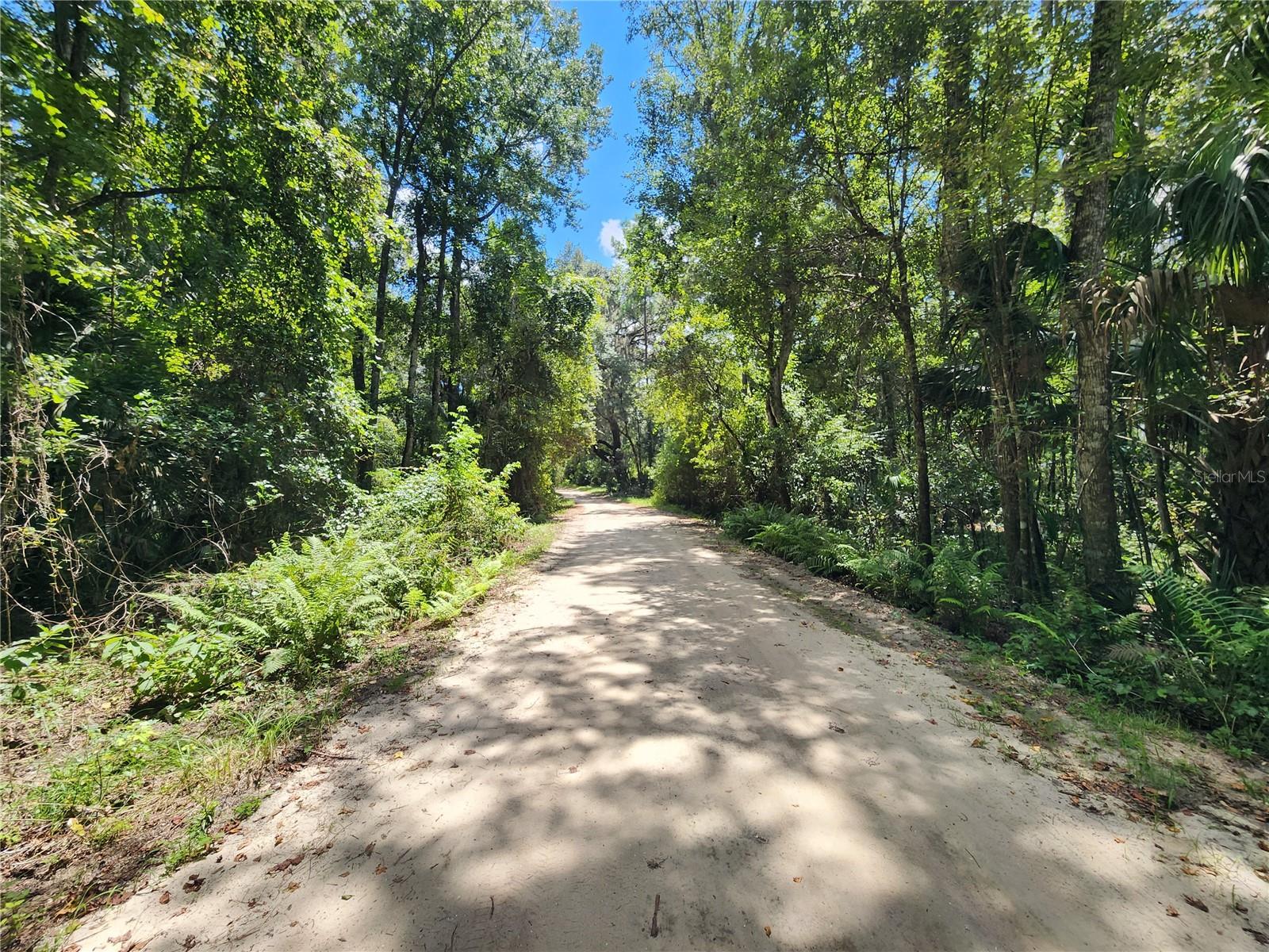 Lake front property! This absolutely beautiful 5.89 acre homesite is priced to sell and ready for you to bring your dreams to life. Take a trip down a private road, surrounding yourself with the tranquil feel of the trees and nature. Create a place where you can have a lake view with access to fish as you please. Roughly 100 feet of water front here waiting for you to cast a line! Make your home, fish camp, or peaceful getaway. This parcel provides easy access to a major highway while still maintaining the feeling of your own. Call today! Neighboring lot also for sale! See 165 She She Rd!