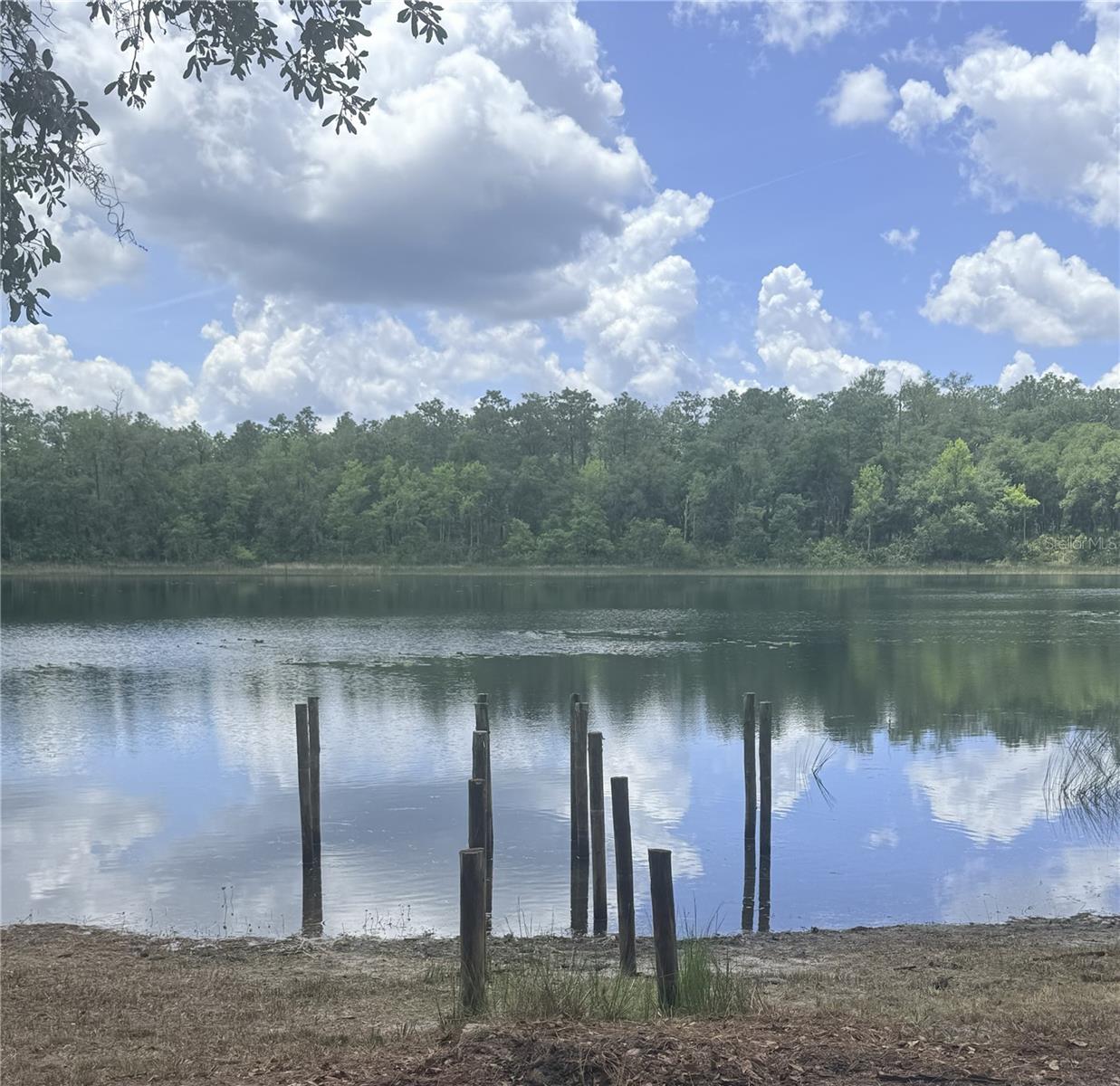 GOVT LEASE LT ROUND LAKE - Residential