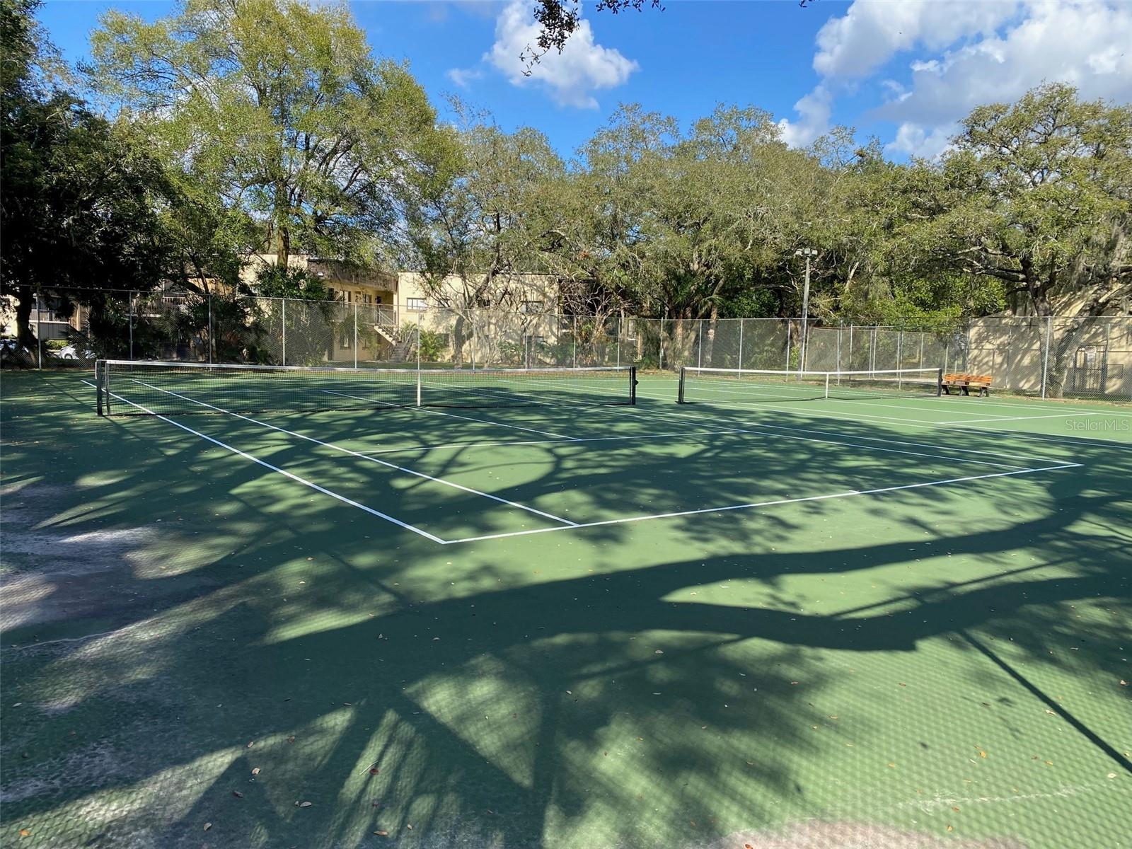 RAINTREE VILLAGE CONDO N - Residential
