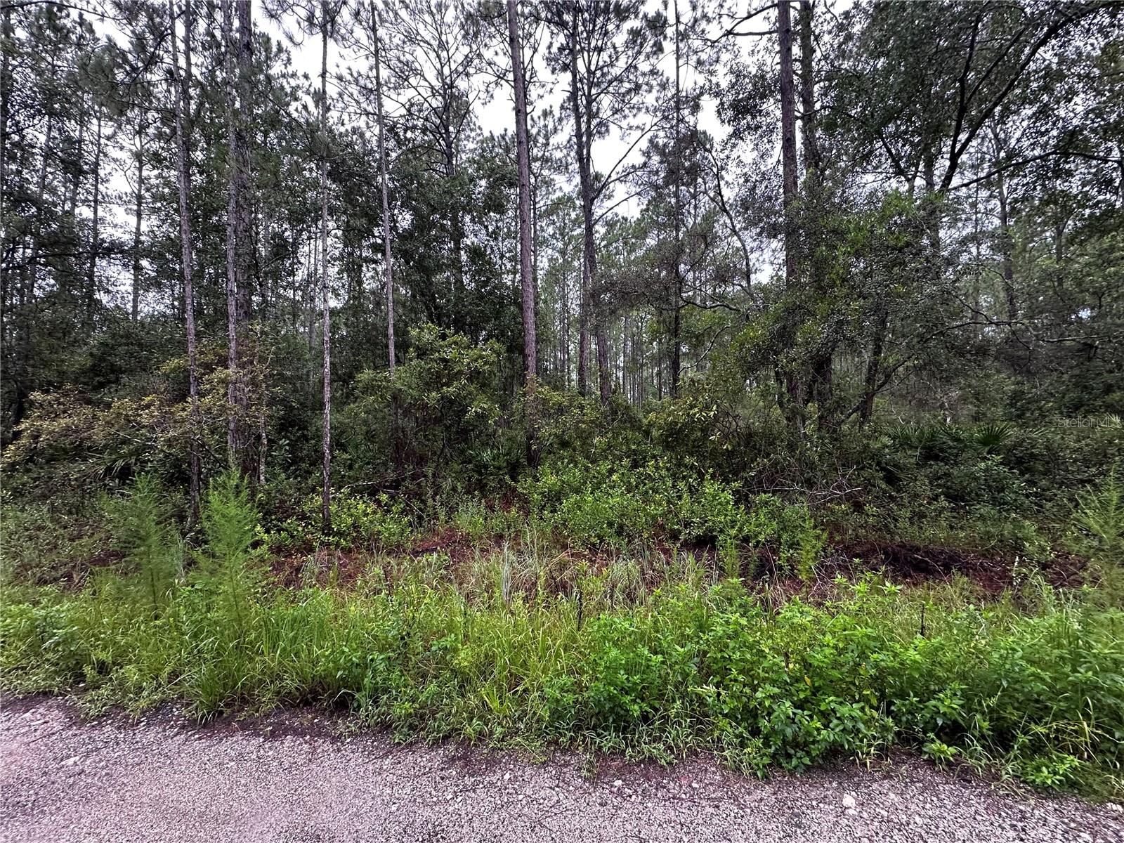 Looking for peace and quiet, welcome to Citra, Florida.  This parcel is a beautiful six lot property. You can split the parcel into four or six lots.  Remarkably close to the Ocala National Forest, Horseshoe Lake Park, Hawthorne, Palatka, Ocala, Gainesville, and Lake County.  Have fun in the nearby Springs and enjoy the beautiful nature of Florida.  This beautiful vacant residential lot is an excellent investment. The natural beauty of this property presents a great setting for your future dream home. If you are looking to build a home or invest in real estate this property is perfect.  Citra is filled with many wide-open spaces, rolling hills, and citrus groves. If you are a sportsman ready to have some fun exploring nearby parks and sparkling lakes this property is for you.  You can purchase the entire parcel or separate lots.