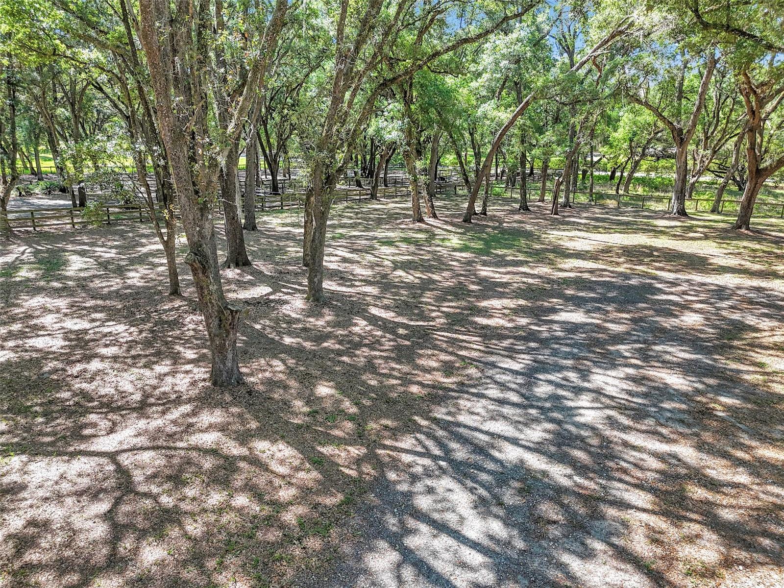NO SUBDIVISION NAME - Residential