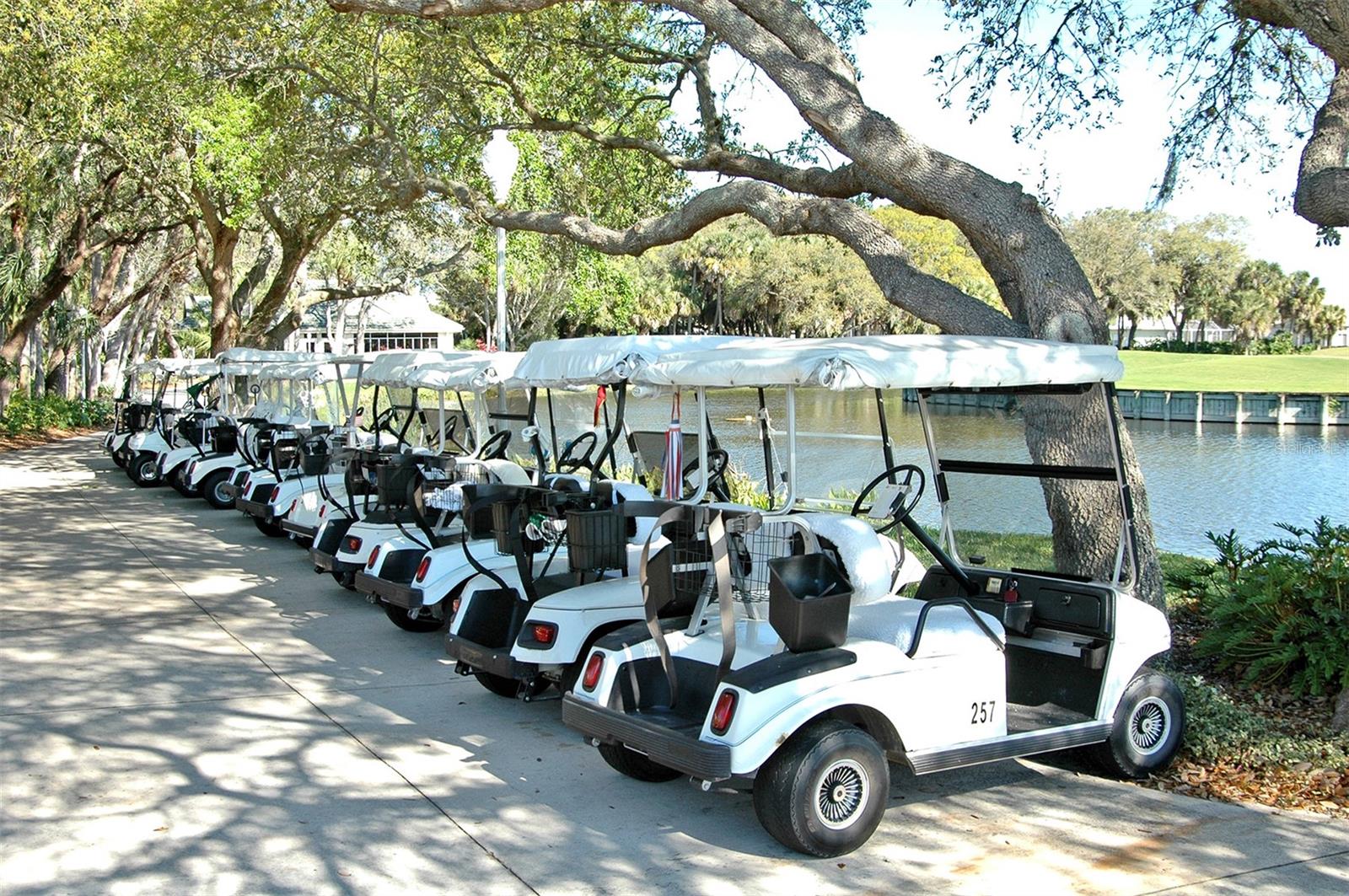 VENICE GOLF & COUNTRY CLUB - Residential