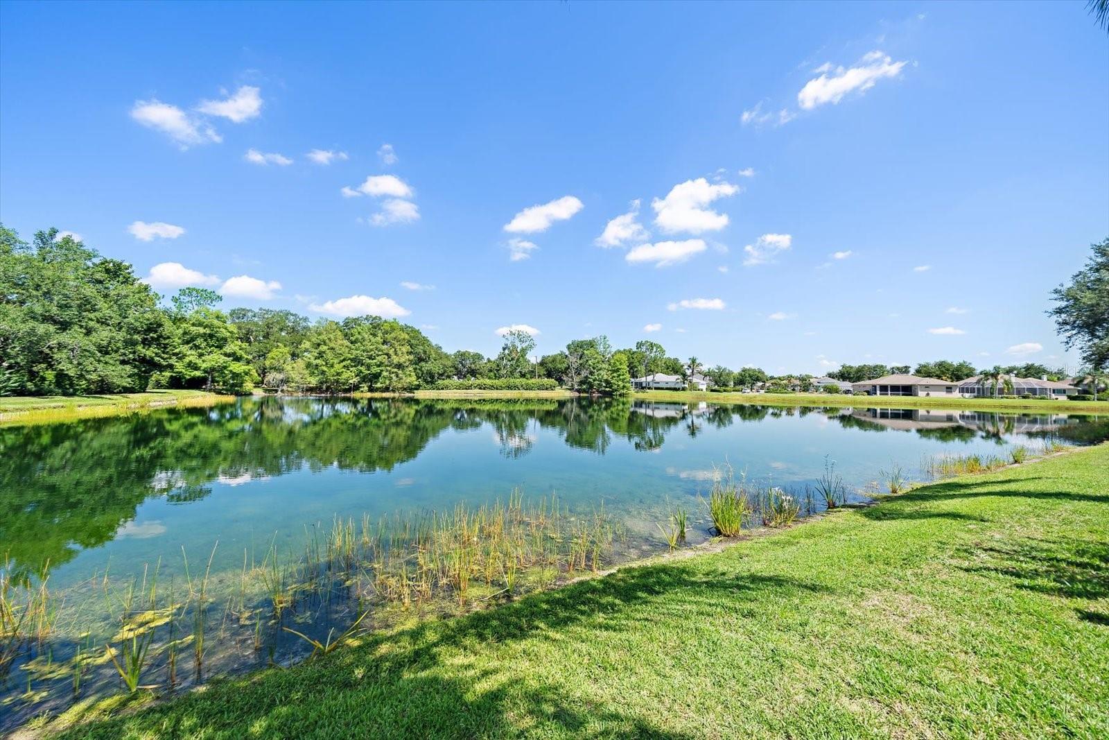 SUMMERFIELD VILLAGE SUB PH D U - Residential