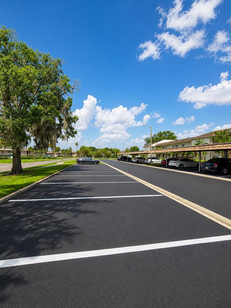 EAST LAKE WOODLANDS CONDO - Residential Lease