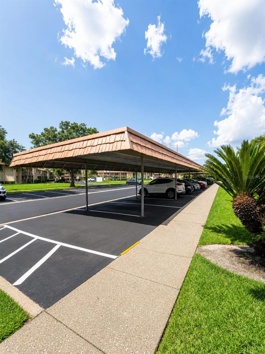 EAST LAKE WOODLANDS CONDO - Residential Lease