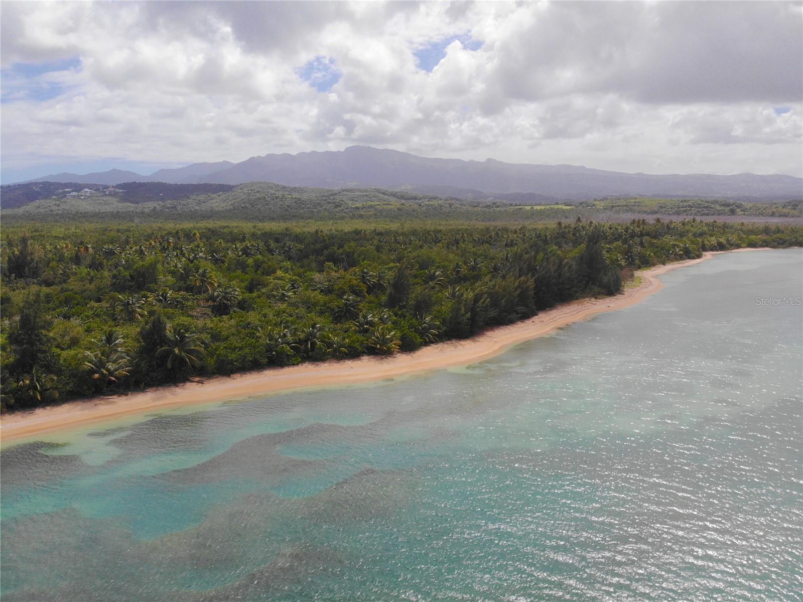 Discover an extraordinary opportunity to own a breathtaking beachfront property nestled in Las Picuas Peninsula, a nature preserve on the northeast coast of Puerto Rico. This prime location is rich in lush flora, vibrant fauna, and secluded beaches, offering a serene escape from everyday life.

Spanning approximately 125 acres across 5 adjacent parcels (each around 25 acres), this unique property is ideally situated, connecting to the renowned Coco Beach Grand Reserve to the south and in close proximity to the Hyatt Regency and Wyndham Grand Rio Mar Beach and Golf Resorts. The zoning classification includes CR, PR and B-Q. Imagine building your dream eco friendly home in this idyllic setting, where you can live peacefully under the Caribbean sun, surrounded by the beauty of nature. This property offers the perfect canvas for conservation purposes, ensuring a harmonious coexistence with the vibrant ecosystems that thrive here. Seize this rare opportunity to create your own private sanctuary by the beach, where every day feels like a vacation. Whether you envision a family retreat, a nature-loving residence, or an investment for future generations, this exceptional property awaits your vision.

For a private appointment and to explore this unique oasis, please call today!