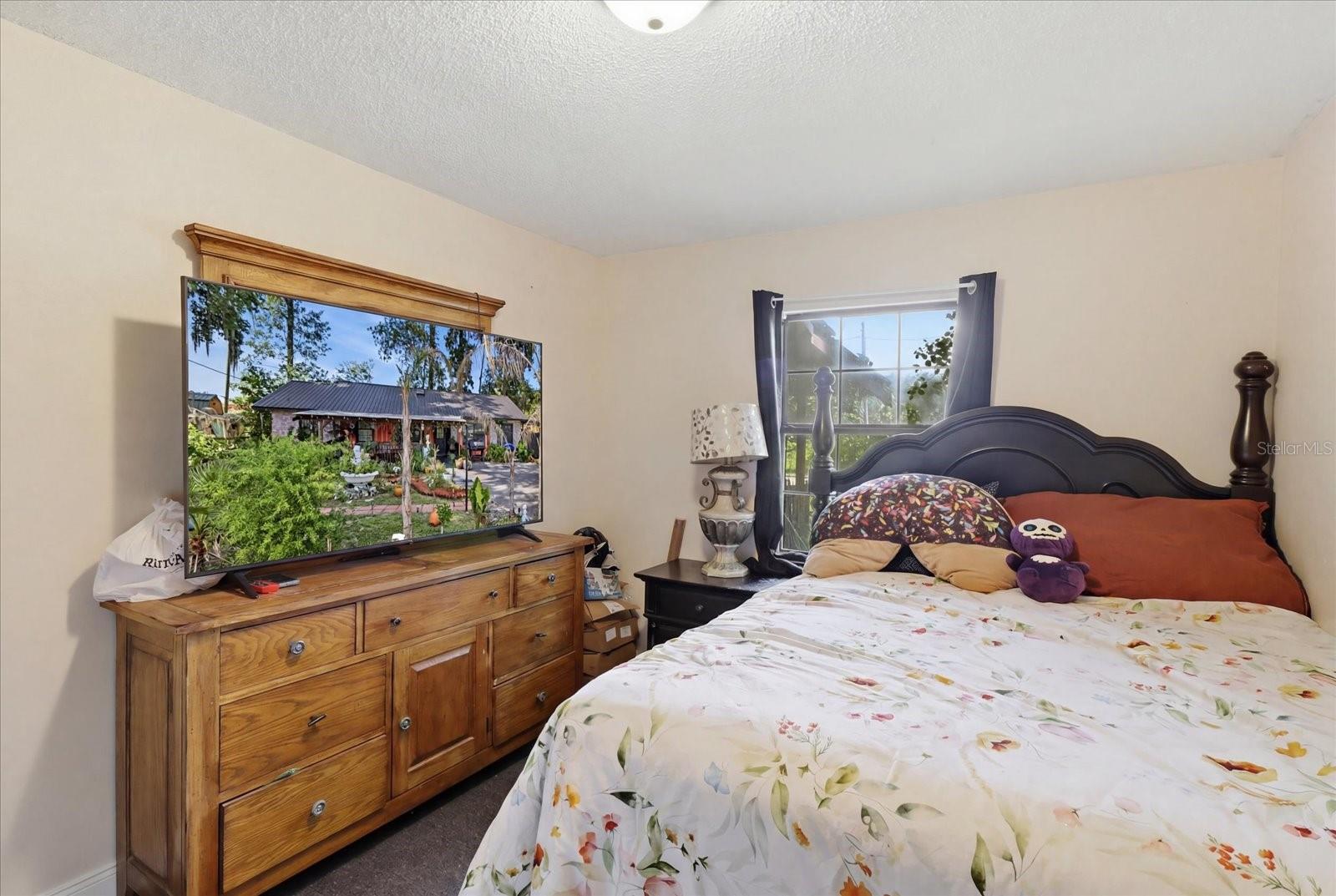 TREE HAVE - Residential