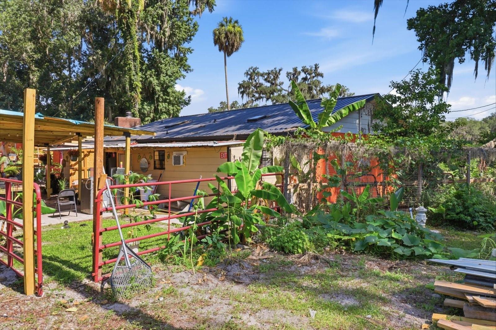 TREE HAVE - Residential