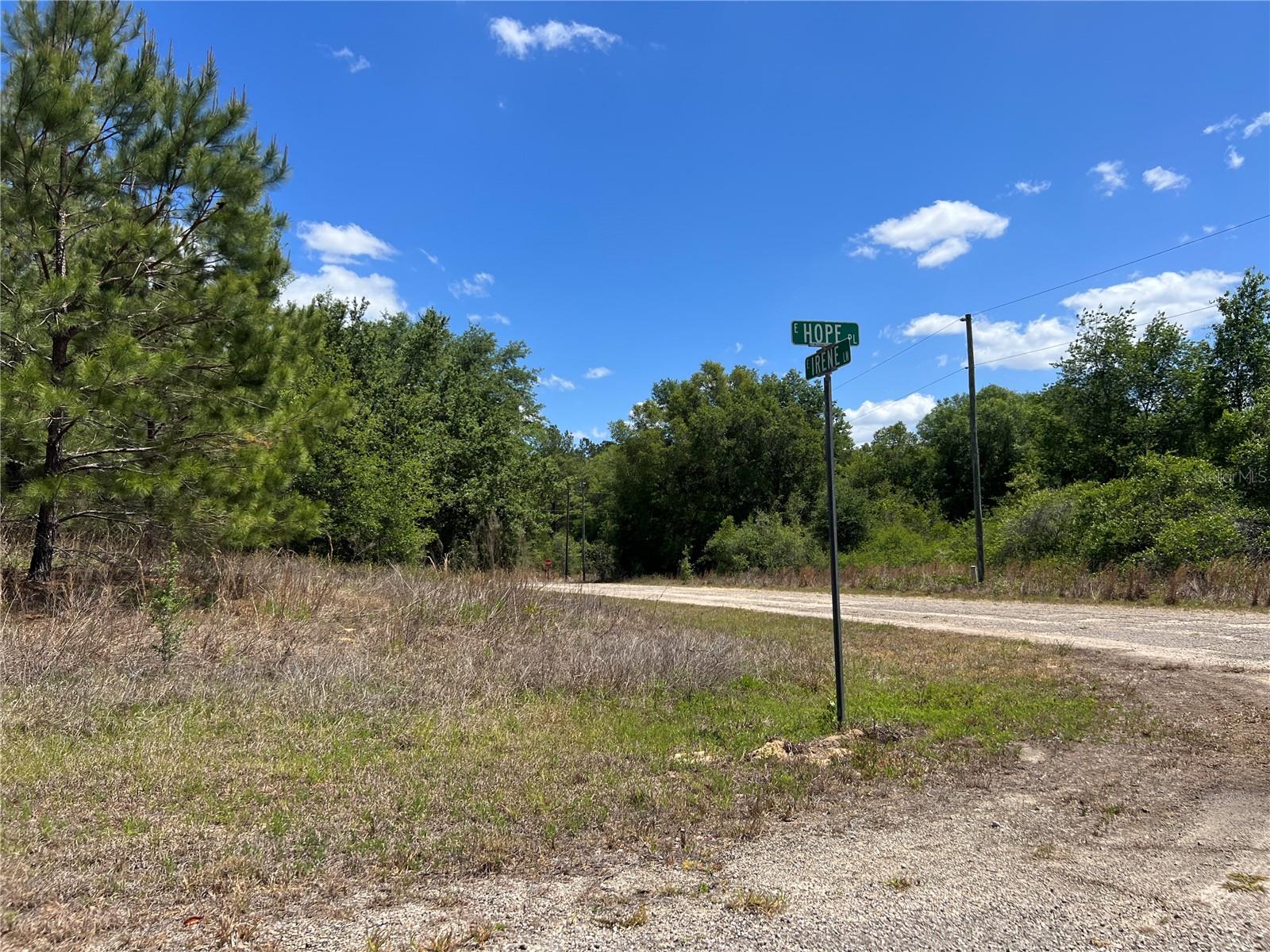 Build your dream home on this residential lot in the growing community of Citrus Springs. Located in Citrus Springs Unit 17, this homesite offers a great opportunity for a primary residence, second home, or investment property. Conveniently located near shopping, dining, parks, golf, and the Rainbow River, with easy access to Crystal River, Ocala, and Florida’s Nature Coast. No HOA. Enjoy the charm of a quiet neighborhood while still being close to everyday conveniences and outdoor recreation.